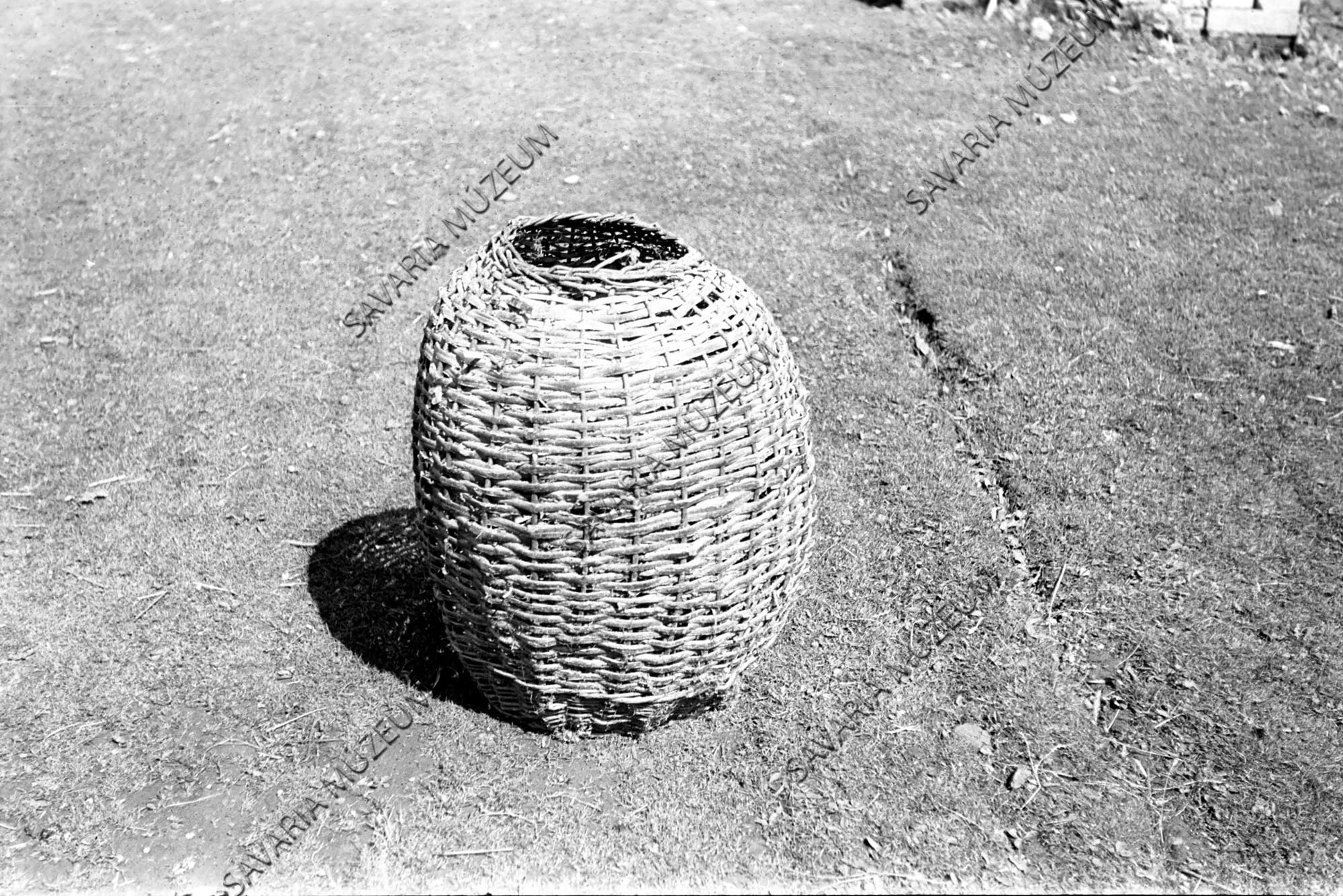 Diótartó kosár (Savaria Megyei Hatókörű Városi Múzeum, Szombathely CC BY-NC-SA)