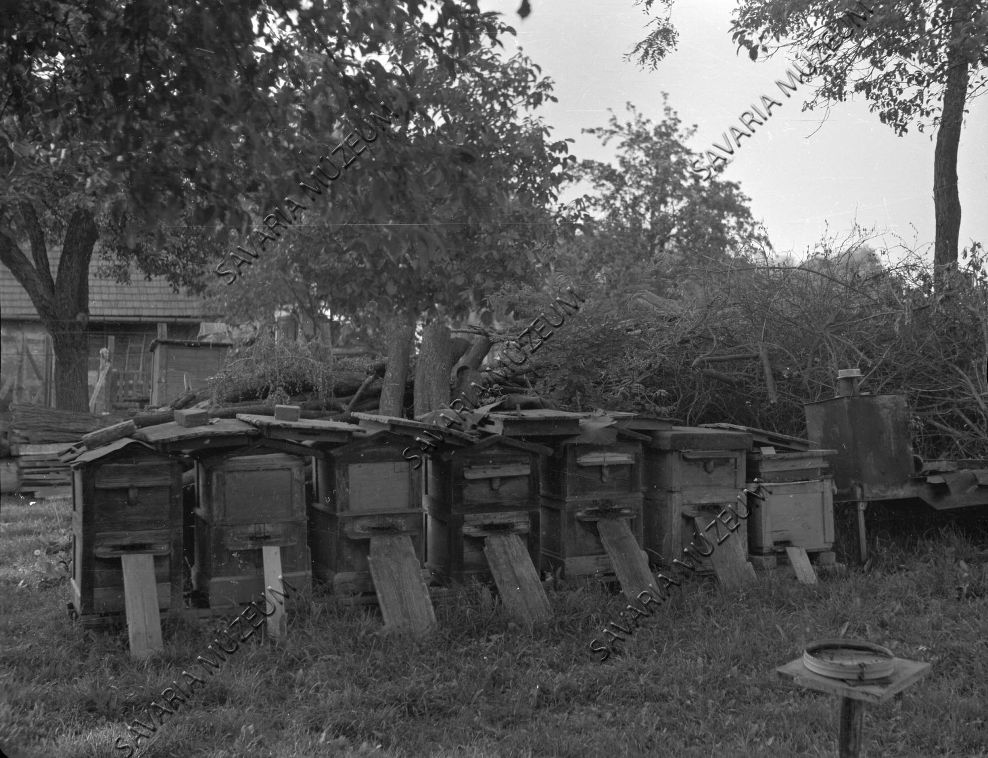 Méhészet (Savaria Megyei Hatókörű Városi Múzeum, Szombathely CC BY-NC-SA)