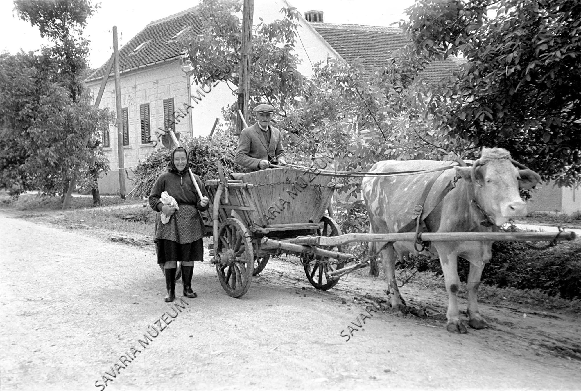 Egyes tehénfogat és asszony kapával (Savaria Megyei Hatókörű Városi Múzeum, Szombathely CC BY-NC-SA)