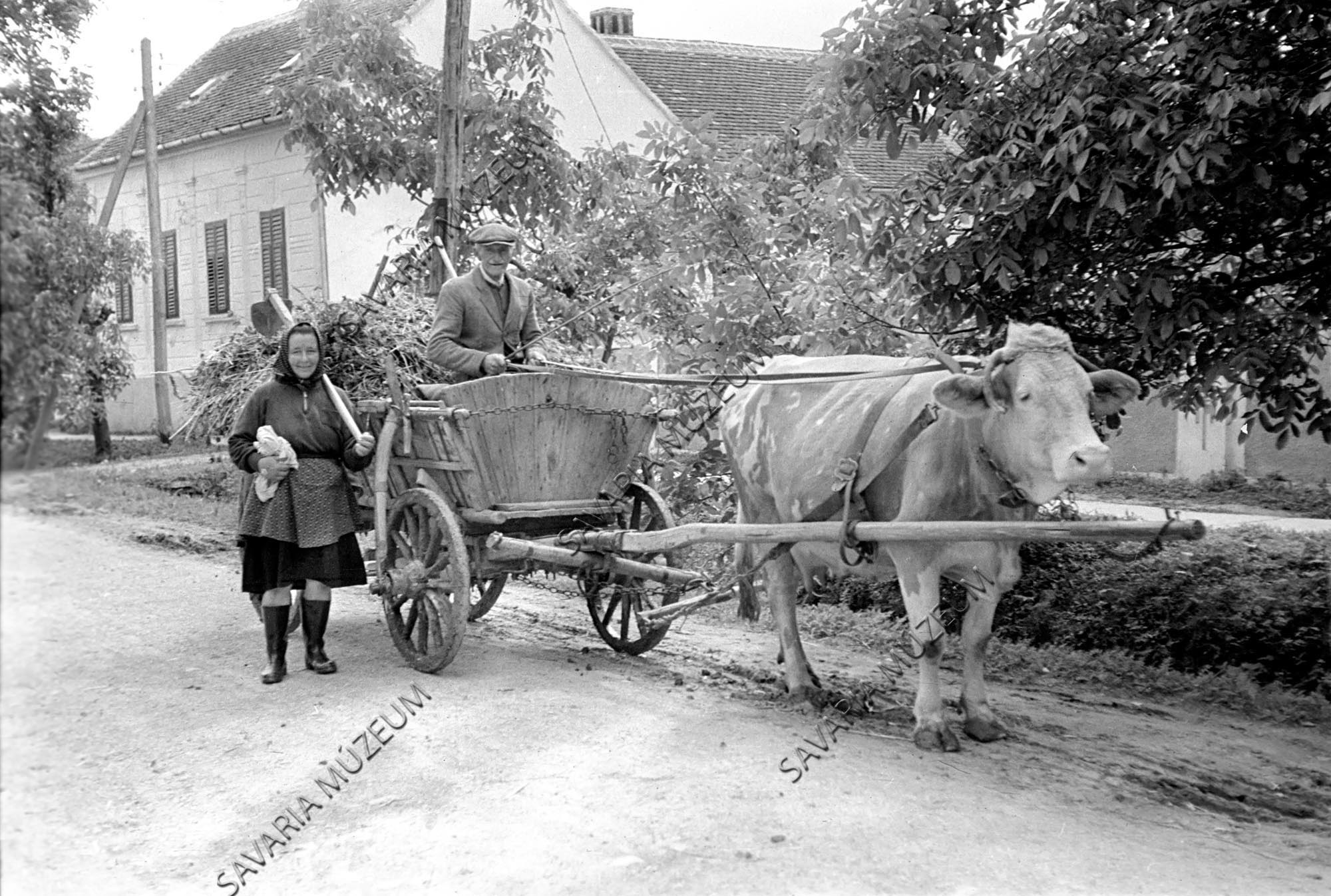Egyes tehénfogat és asszony kapával (Savaria Megyei Hatókörű Városi Múzeum, Szombathely CC BY-NC-SA)