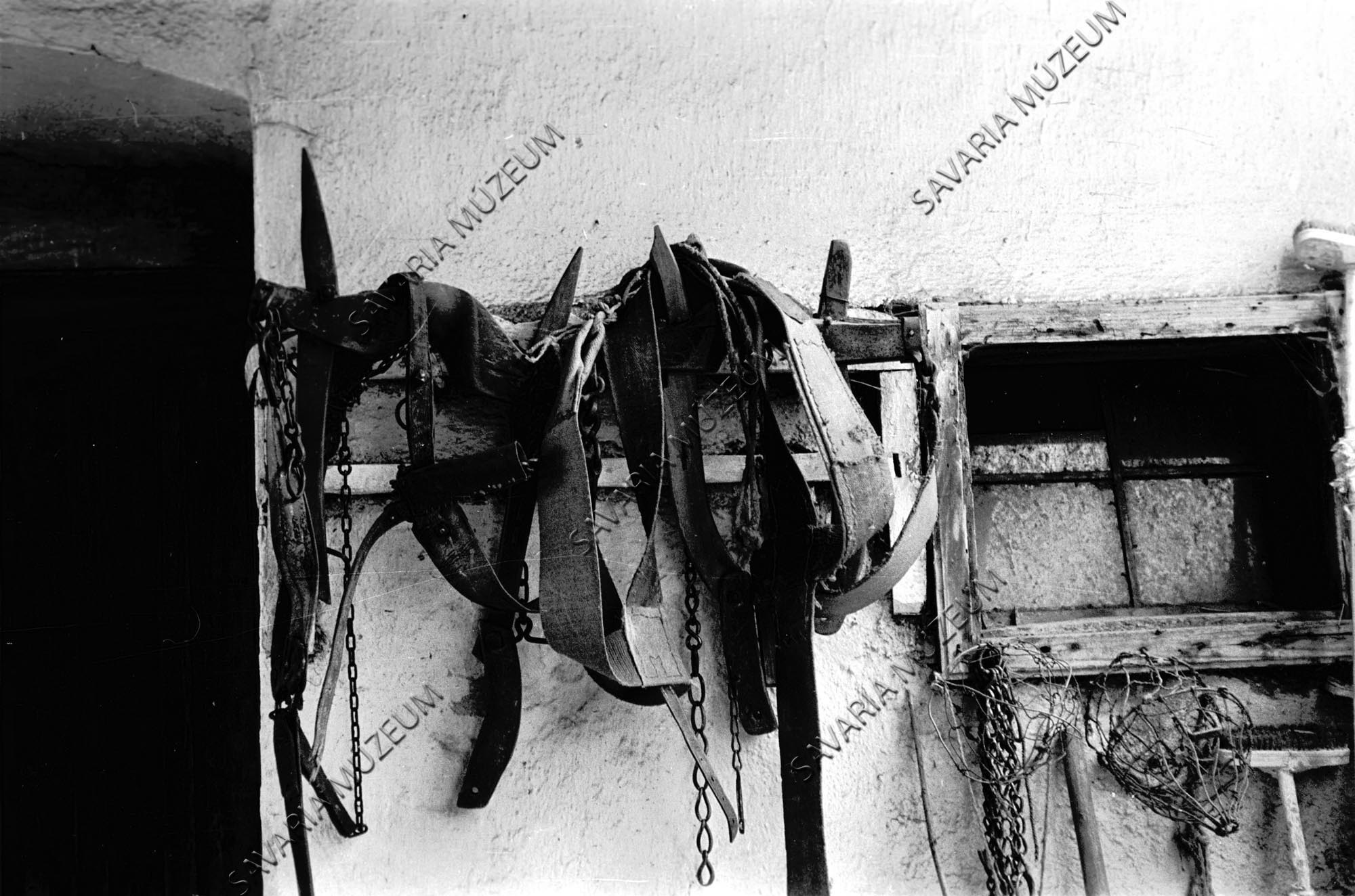 Egyesigák, szájkosarak az istálló falán (Savaria Megyei Hatókörű Városi Múzeum, Szombathely CC BY-NC-SA)