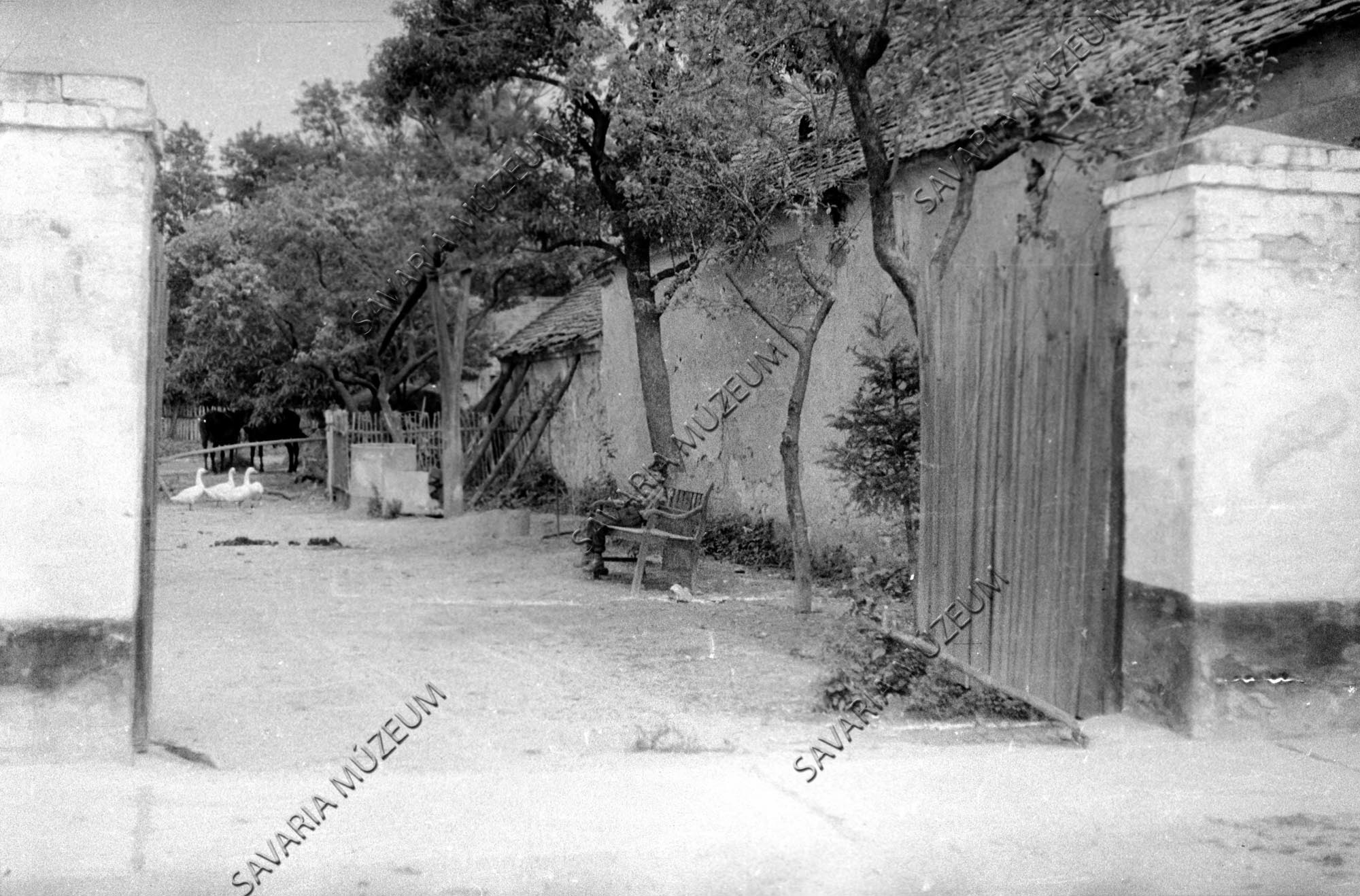 Gémeskút és pad (Savaria Megyei Hatókörű Városi Múzeum, Szombathely CC BY-NC-SA)