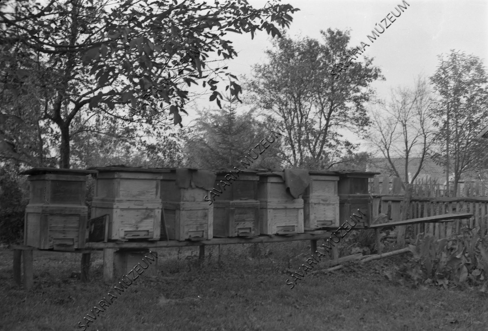 Rakodókaptáros méhészet (Savaria Megyei Hatókörű Városi Múzeum, Szombathely CC BY-NC-SA)