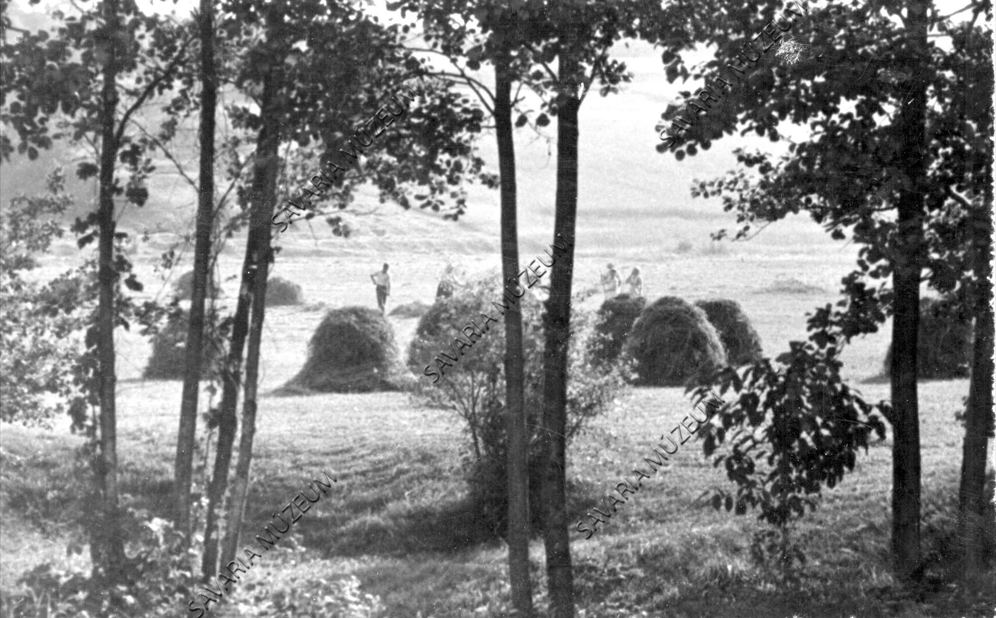 Takarás: villáznak és gereblyéznek (Savaria Megyei Hatókörű Városi Múzeum, Szombathely CC BY-NC-SA)