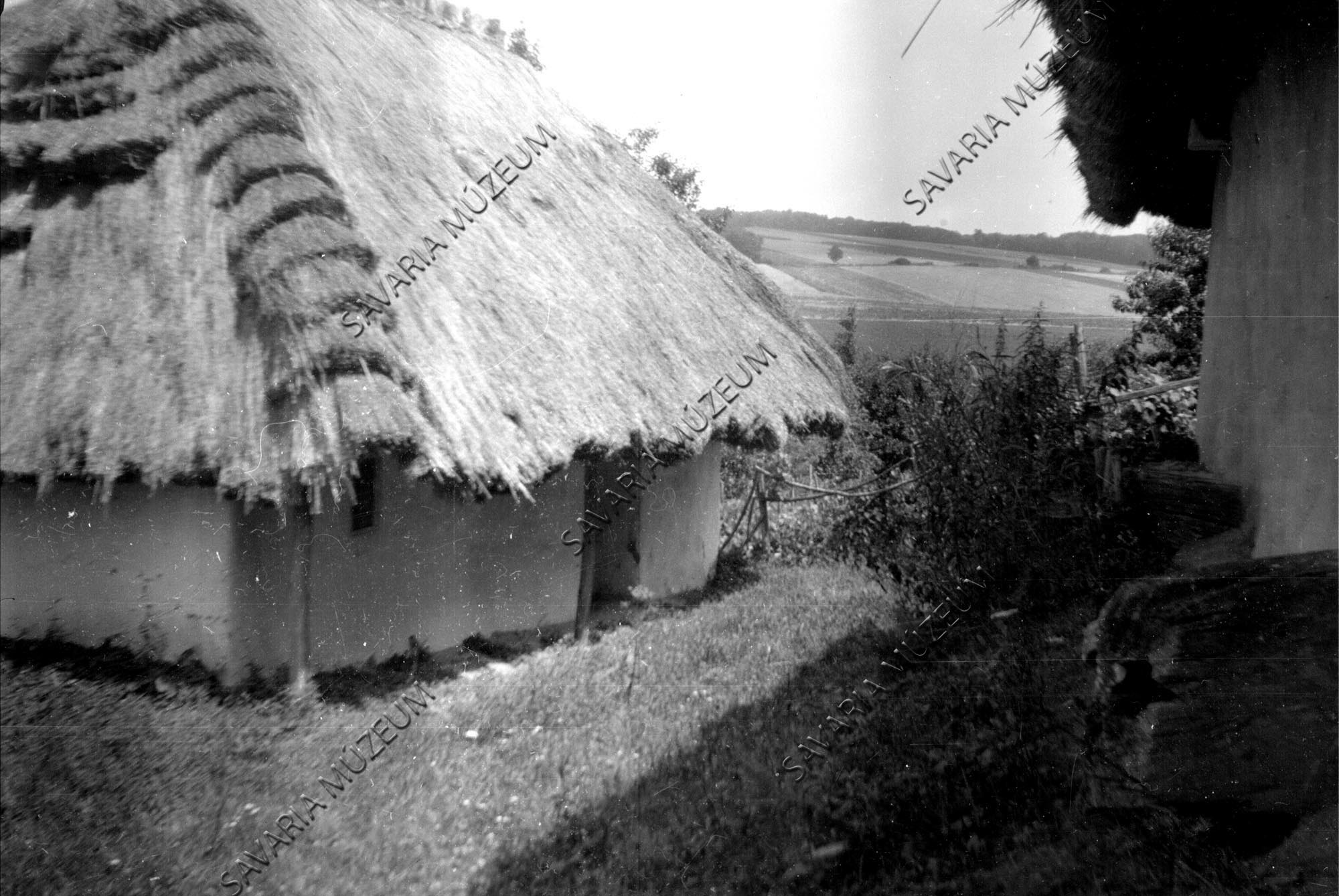 Boronatalpas pincék sorban (Savaria Megyei Hatókörű Városi Múzeum, Szombathely CC BY-NC-SA)
