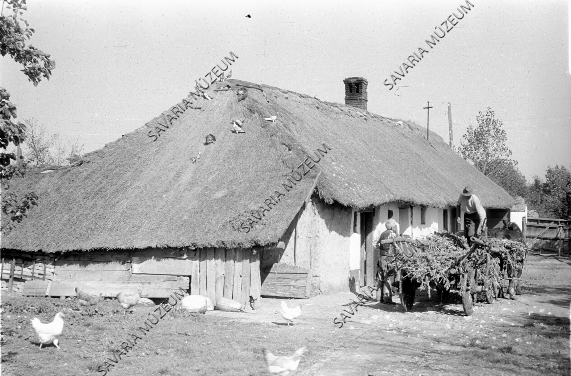 Ház udvar felől és szekér (Savaria Megyei Hatókörű Városi Múzeum, Szombathely CC BY-NC-SA)