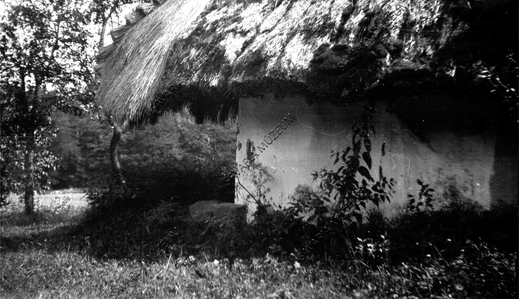Boronatalpas pince sarka (Savaria Megyei Hatókörű Városi Múzeum, Szombathely CC BY-NC-SA)