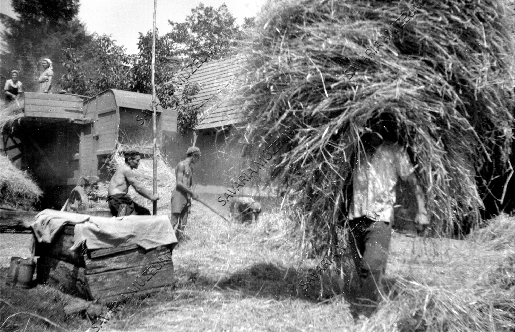 9. Nyársalás: vitel közben (Savaria Megyei Hatókörű Városi Múzeum, Szombathely CC BY-NC-SA)