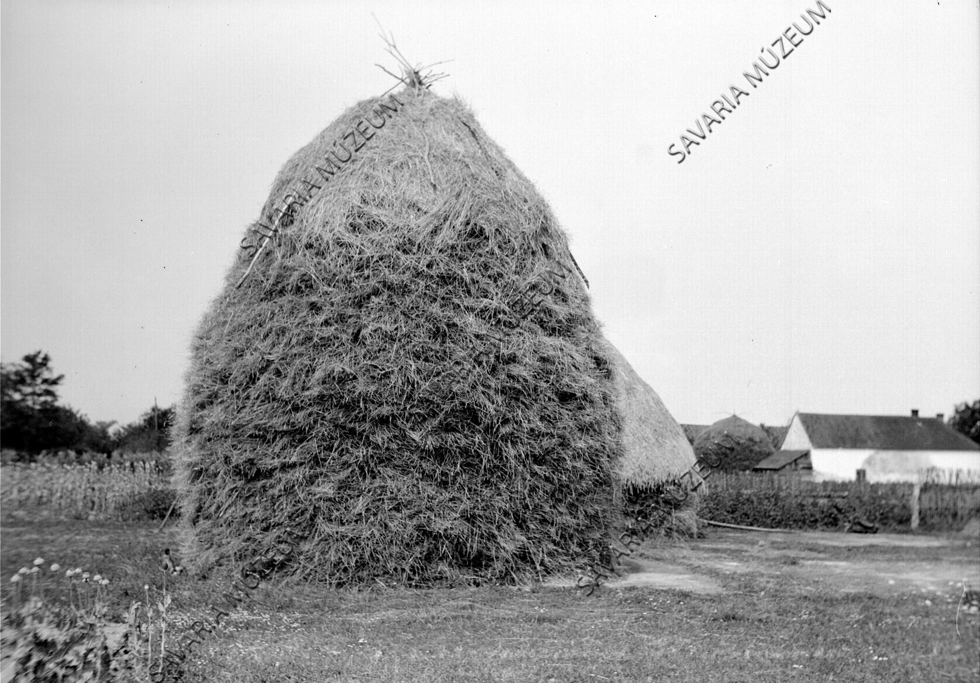 Hosszú szekér üresen (Savaria Megyei Hatókörű Városi Múzeum, Szombathely CC BY-NC-SA)