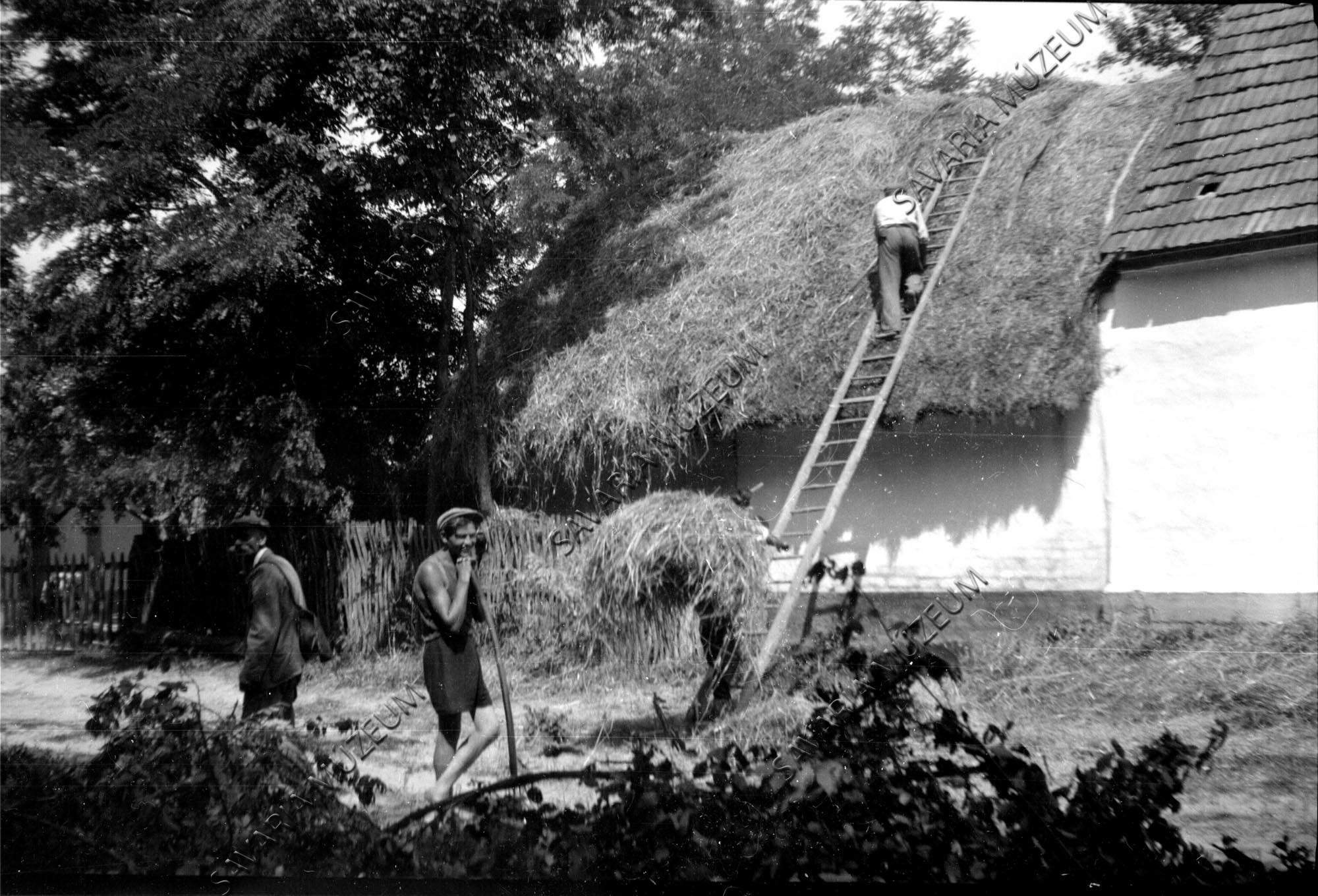 Zsuppos tető javítása (Savaria Megyei Hatókörű Városi Múzeum, Szombathely CC BY-NC-SA)