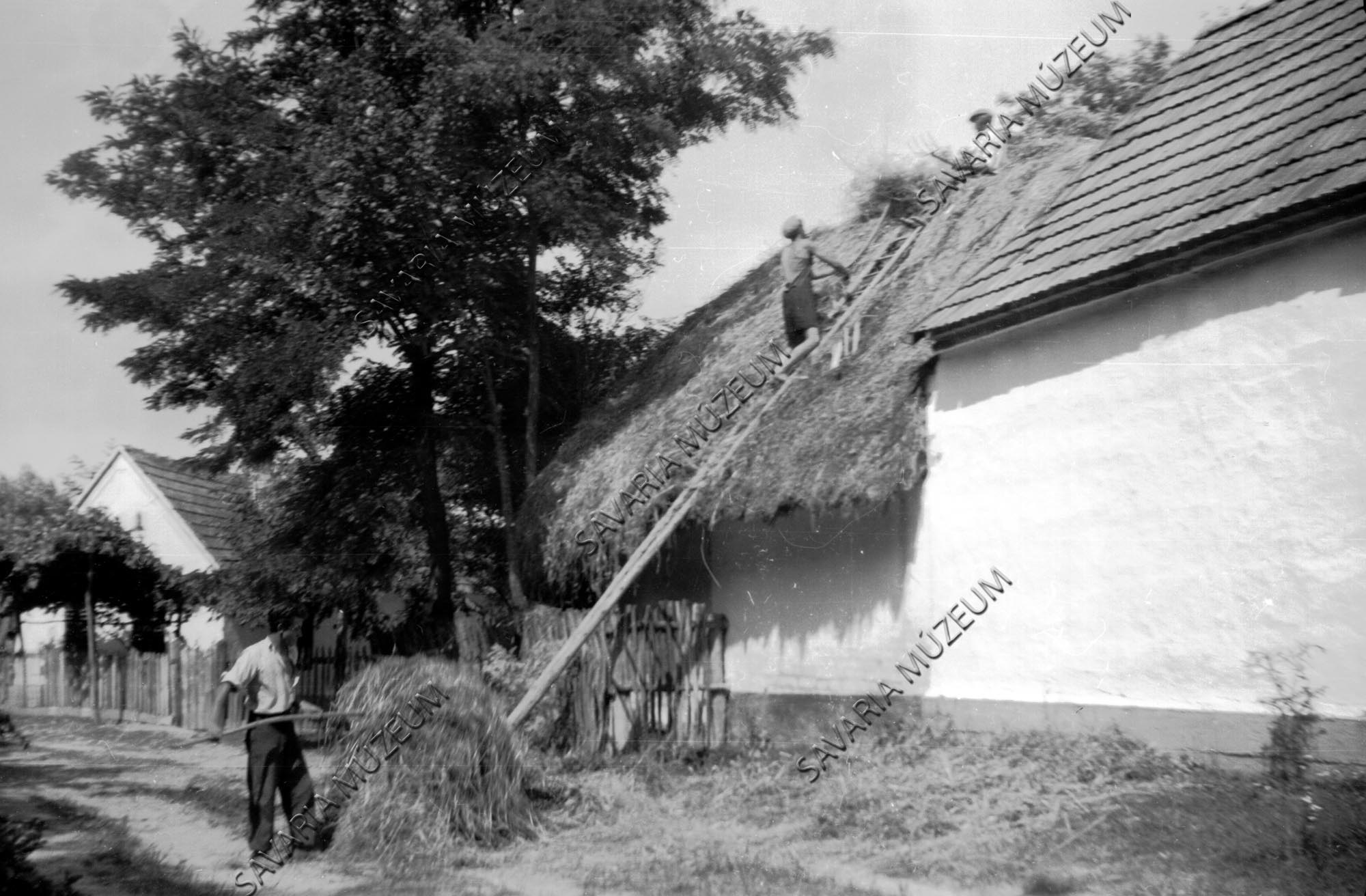 Zsuppos tető javítása (Savaria Megyei Hatókörű Városi Múzeum, Szombathely CC BY-NC-SA)