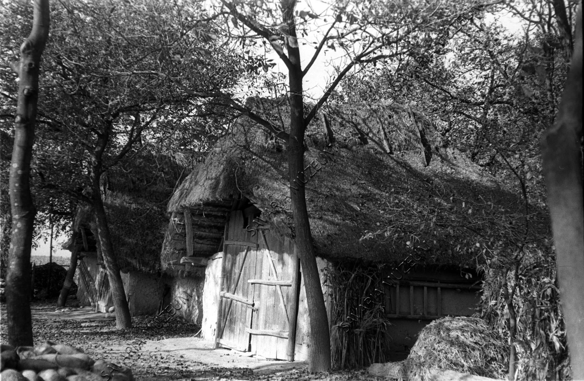 Pajta (kéttorkos) (Savaria Megyei Hatókörű Városi Múzeum, Szombathely CC BY-NC-SA)