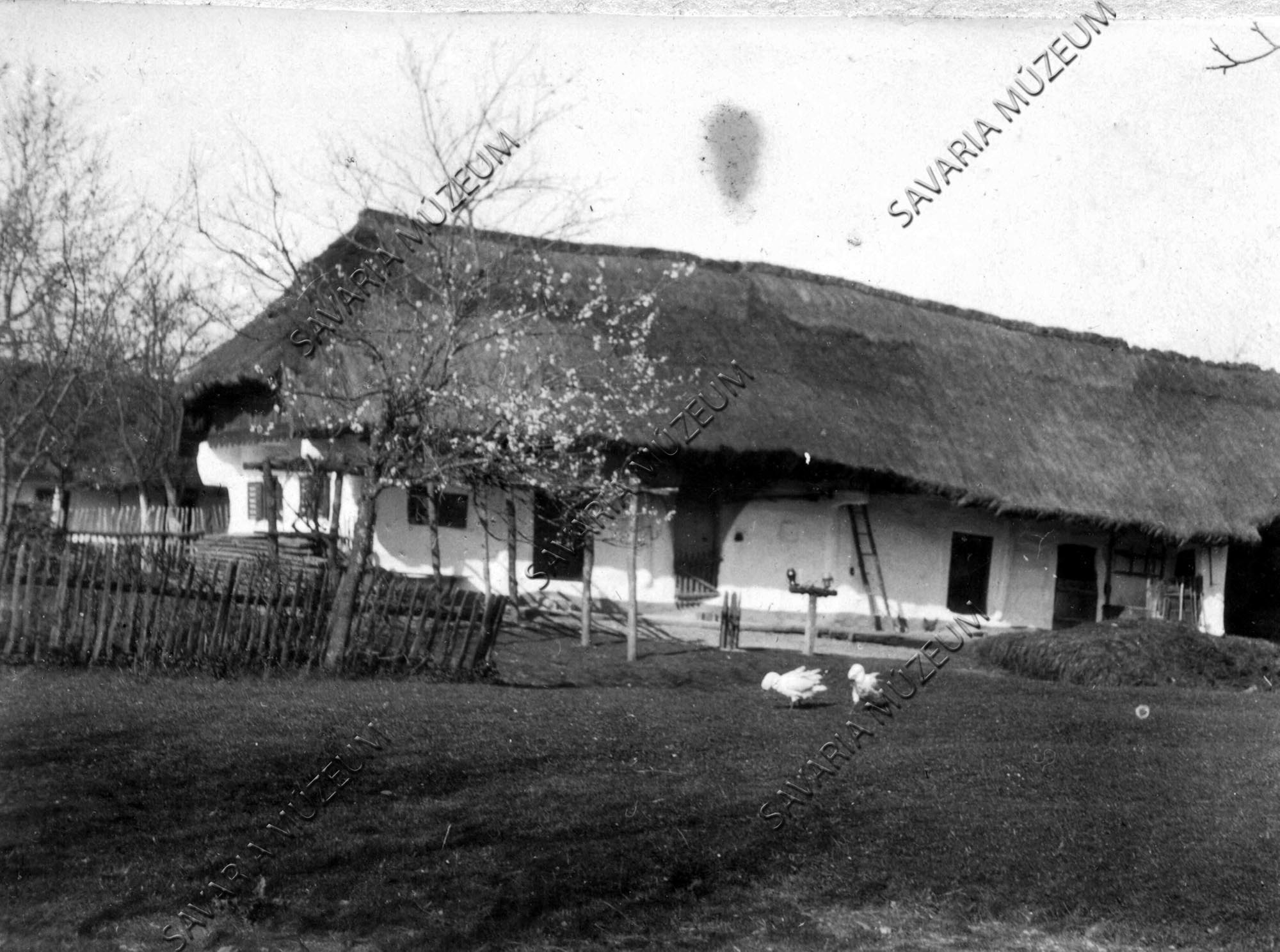 Ház zsuppfedővel (Savaria Megyei Hatókörű Városi Múzeum, Szombathely CC BY-NC-SA)