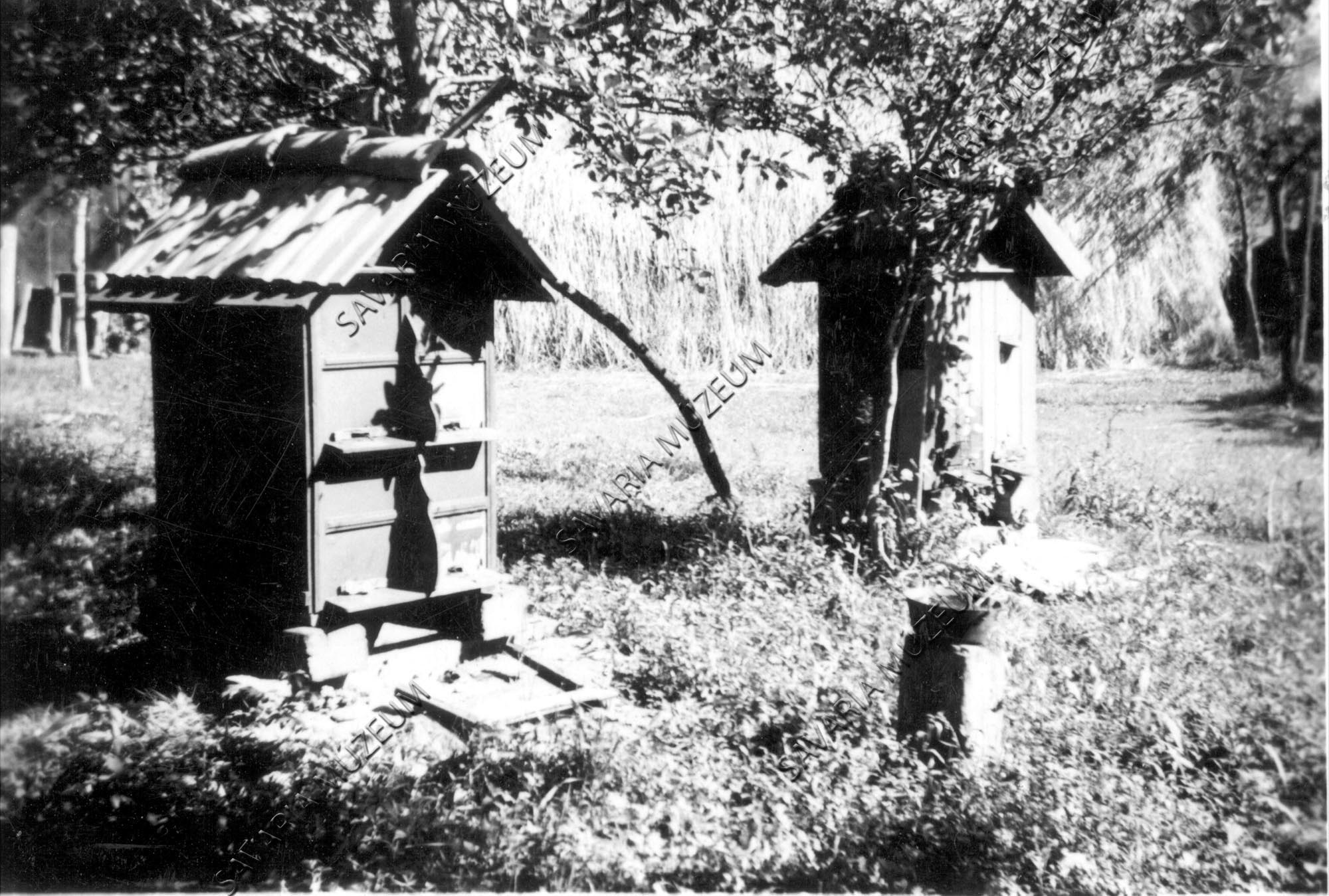 2 db vinyák (méhes) (Savaria Megyei Hatókörű Városi Múzeum, Szombathely CC BY-NC-SA)