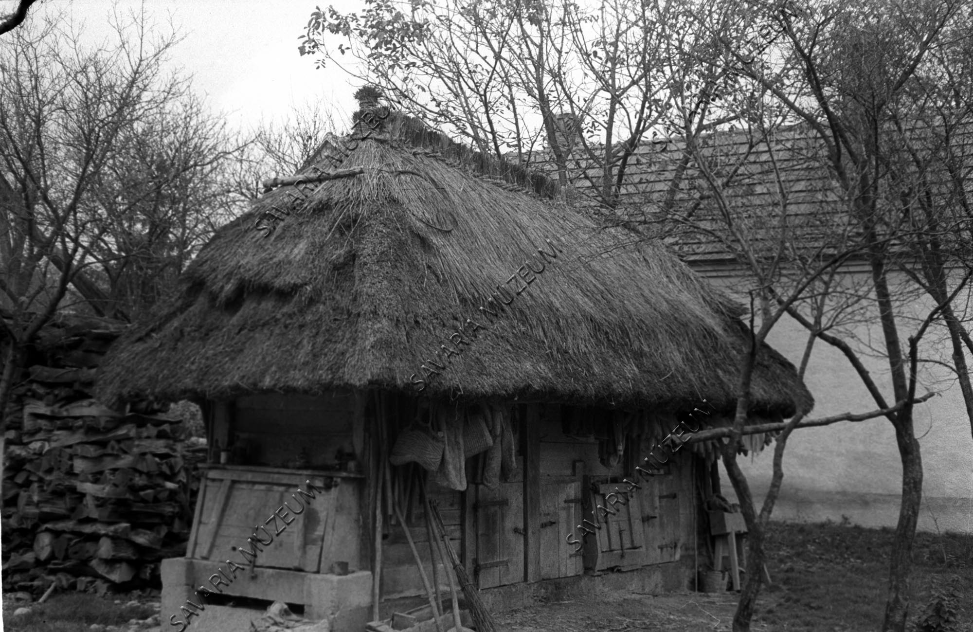 Ólak (Savaria Megyei Hatókörű Városi Múzeum, Szombathely CC BY-NC-SA)