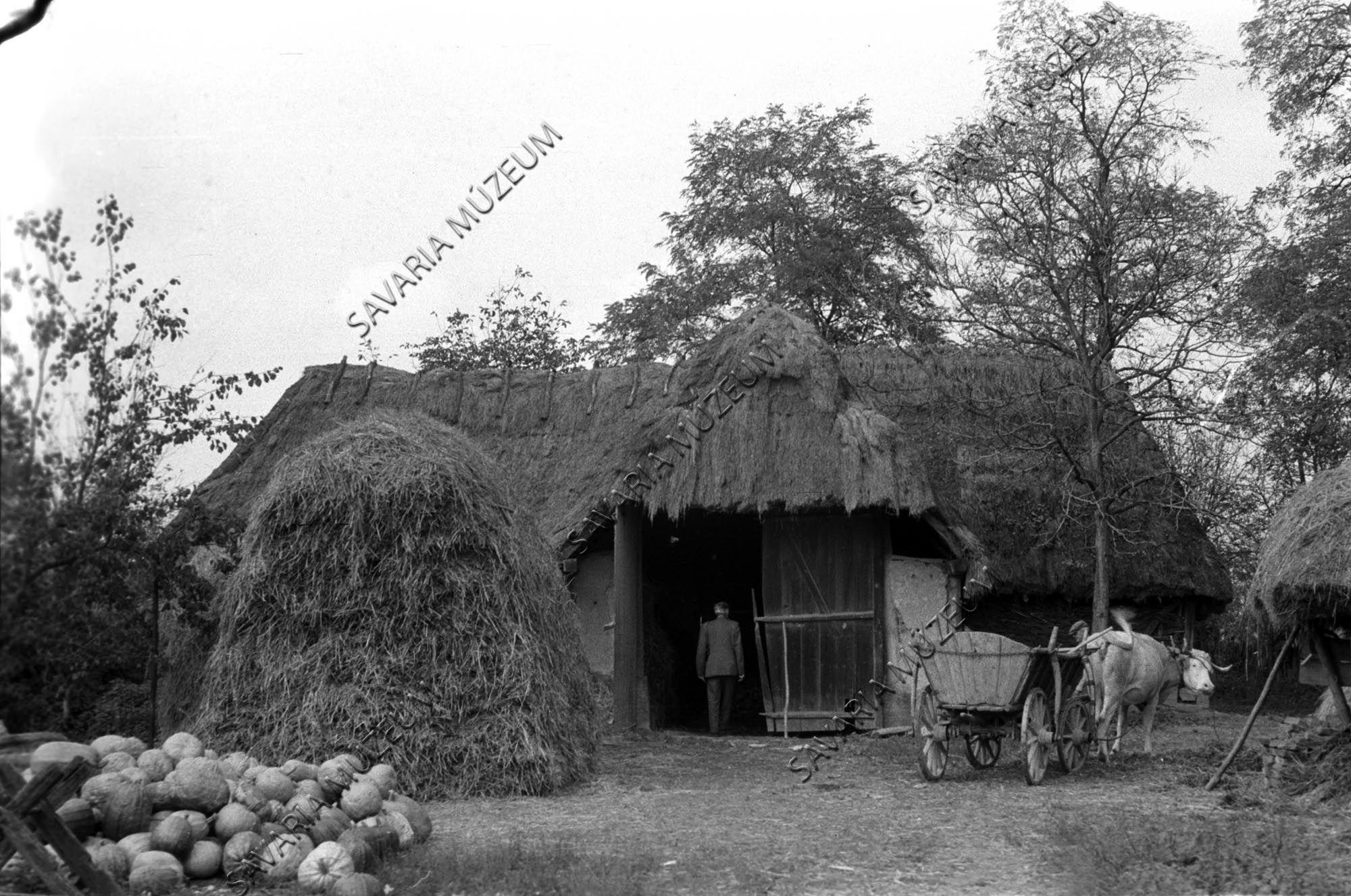 Pajta, kasza és szekér (Savaria Megyei Hatókörű Városi Múzeum, Szombathely CC BY-NC-SA)
