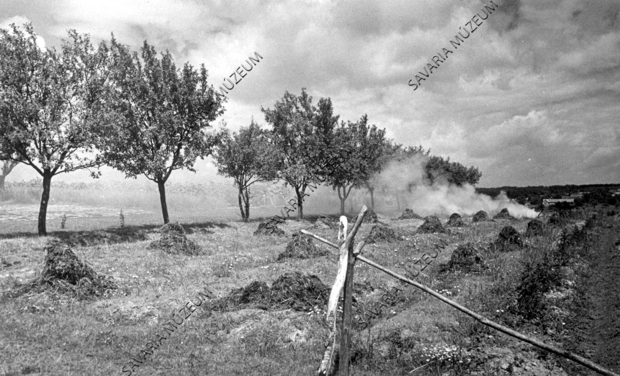 Trágyakupacok, gazégetés a földön (Savaria Megyei Hatókörű Városi Múzeum, Szombathely CC BY-NC-SA)