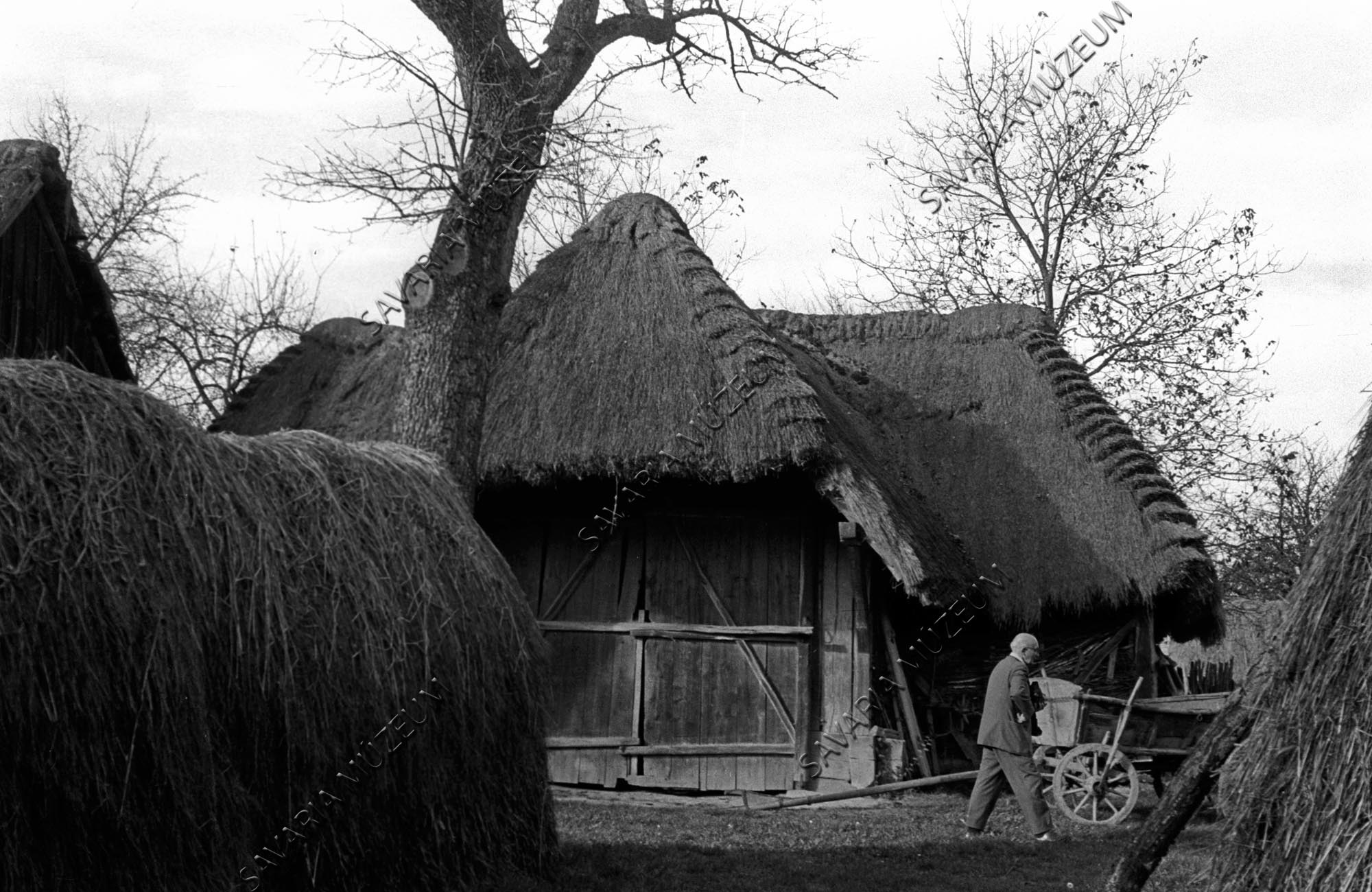Pajta, kazal és szekér (Savaria Megyei Hatókörű Városi Múzeum, Szombathely CC BY-NC-SA)