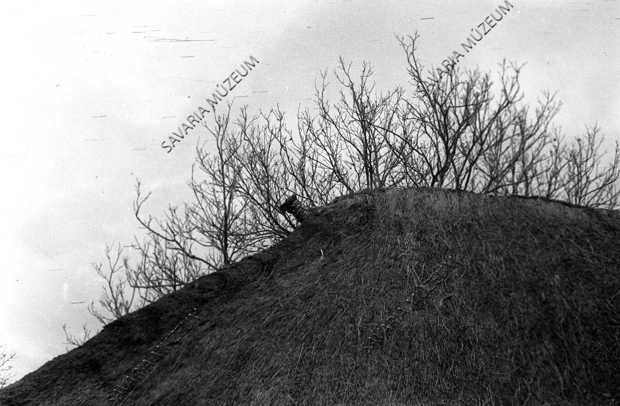 Szalmacsúcs a pajta tetején (Savaria Megyei Hatókörű Városi Múzeum, Szombathely CC BY-NC-SA)