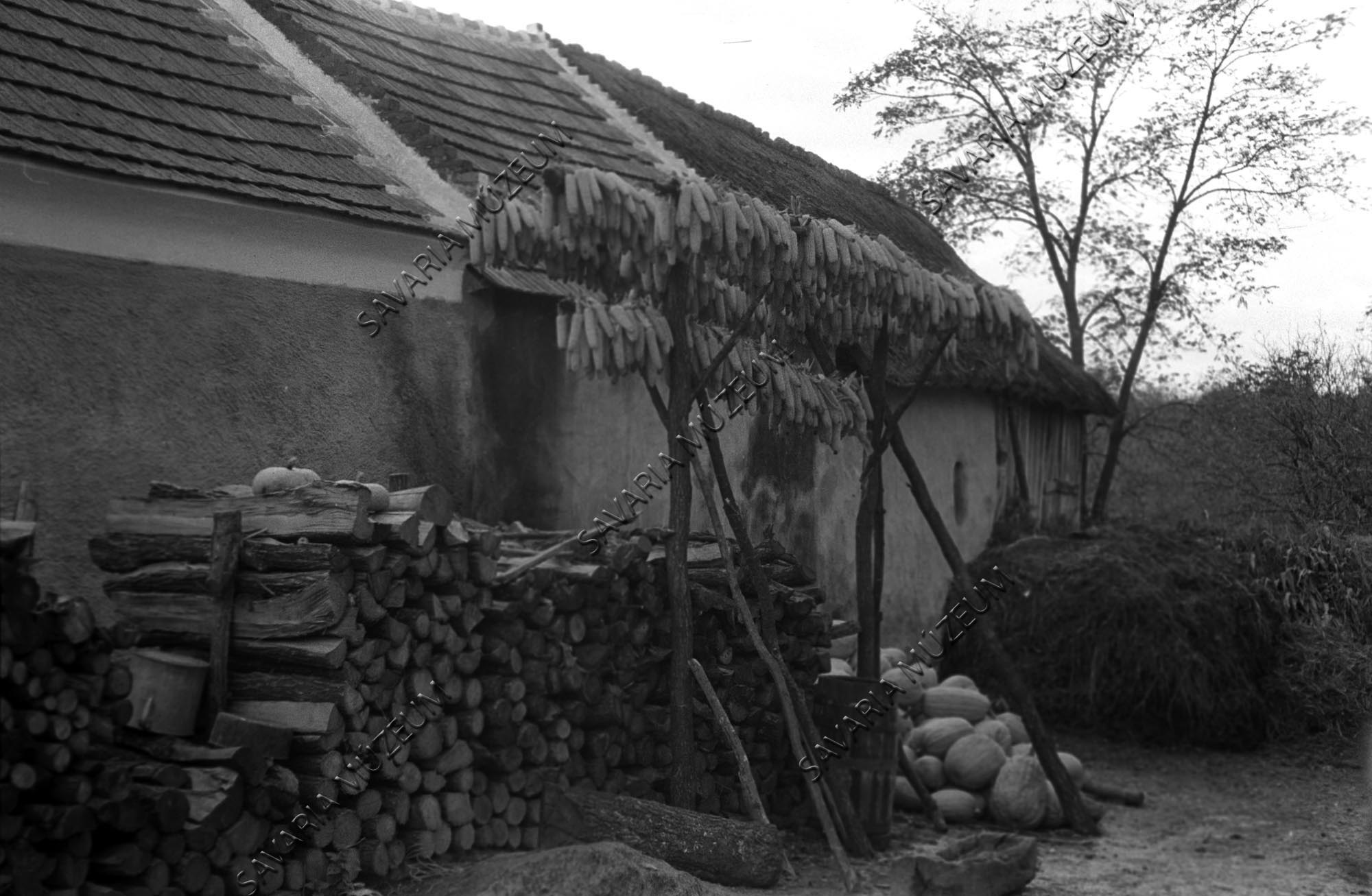 Kukoricaszárogató (Savaria Megyei Hatókörű Városi Múzeum, Szombathely CC BY-NC-SA)