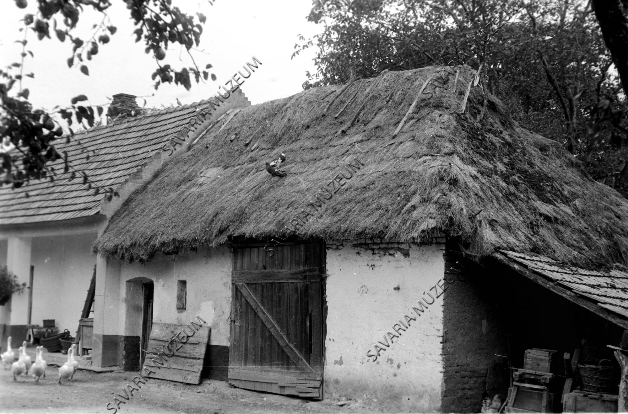 Istálló és pajta (Savaria Megyei Hatókörű Városi Múzeum, Szombathely CC BY-NC-SA)
