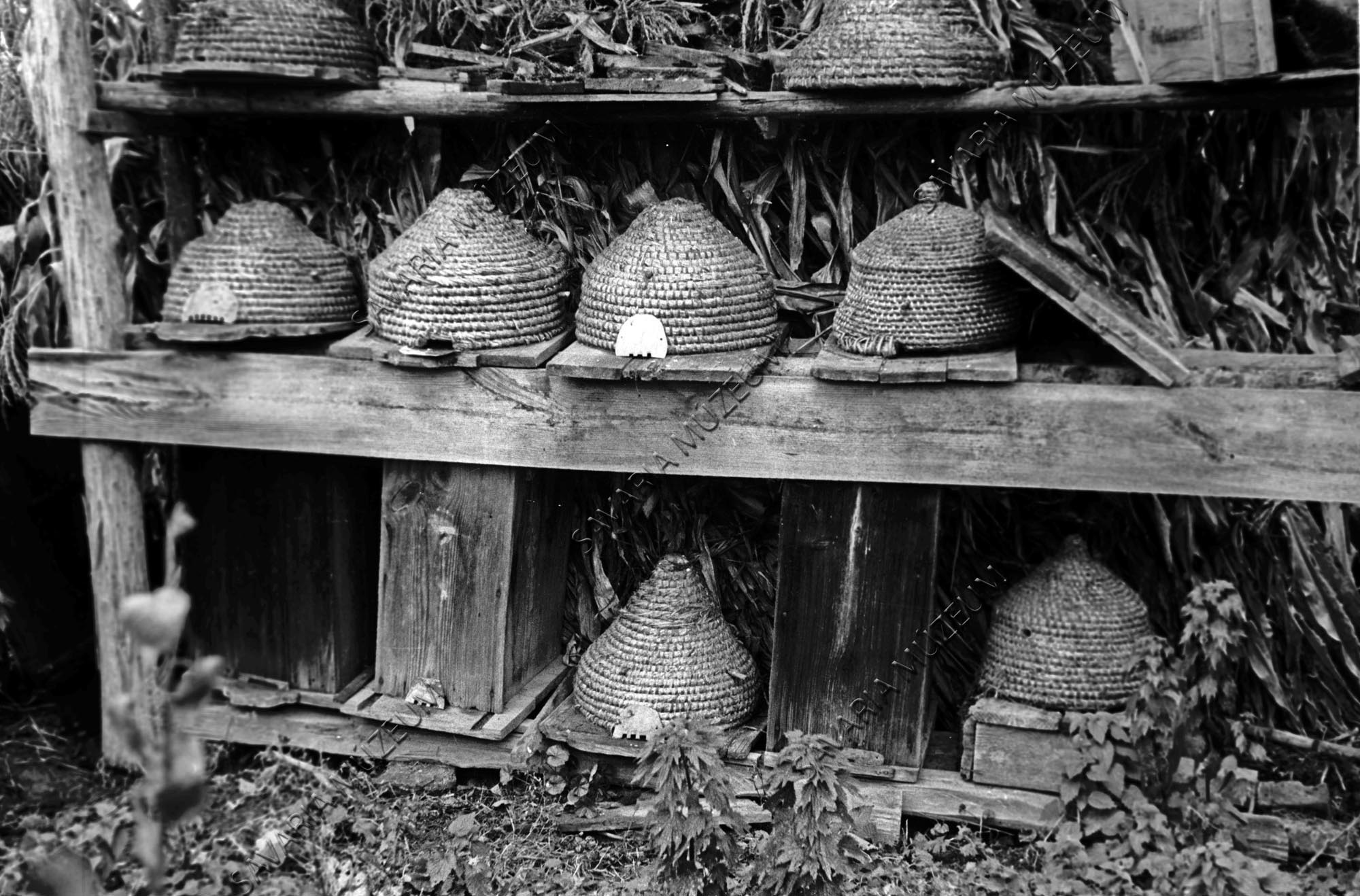 Méhes méhkasokkal (Savaria Megyei Hatókörű Városi Múzeum, Szombathely CC BY-NC-SA)