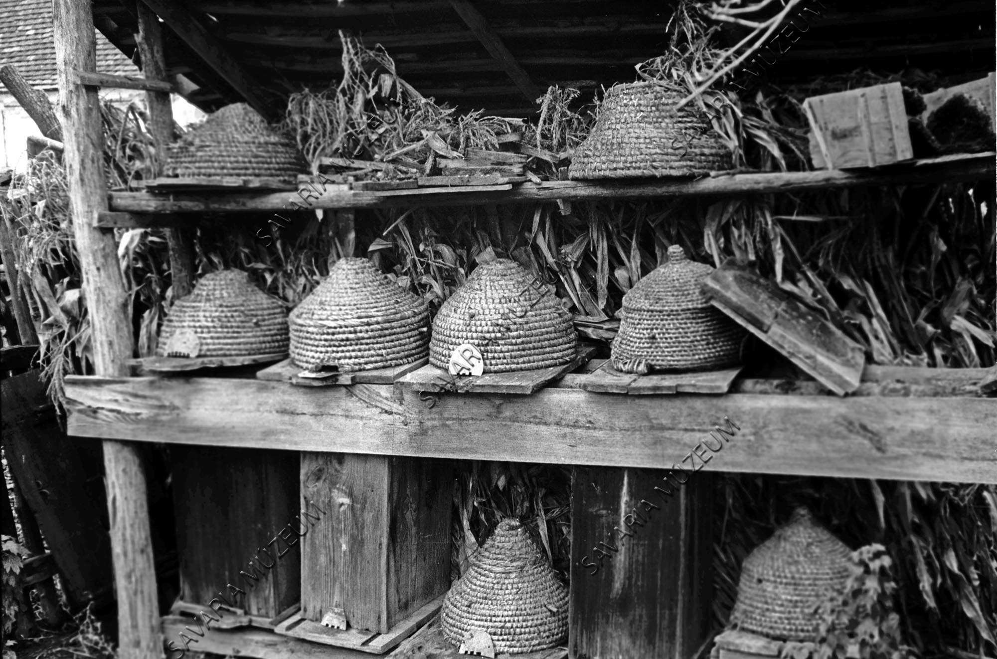 Méhes méhkasokkal (Savaria Megyei Hatókörű Városi Múzeum, Szombathely CC BY-NC-SA)
