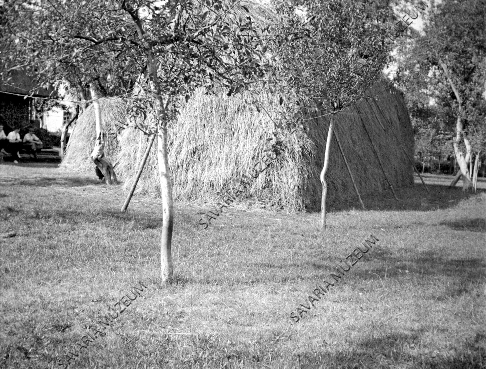 Kazlak (Savaria Megyei Hatókörű Városi Múzeum, Szombathely CC BY-NC-SA)
