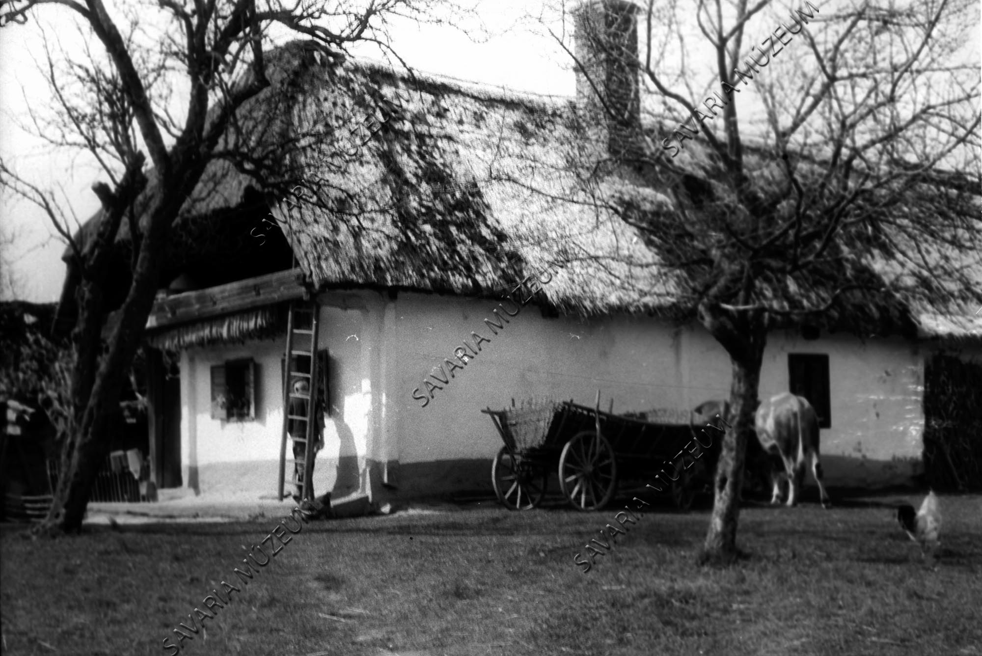 Kerített ház részlete és tehenesszekér (Savaria Megyei Hatókörű Városi Múzeum, Szombathely CC BY-NC-SA)