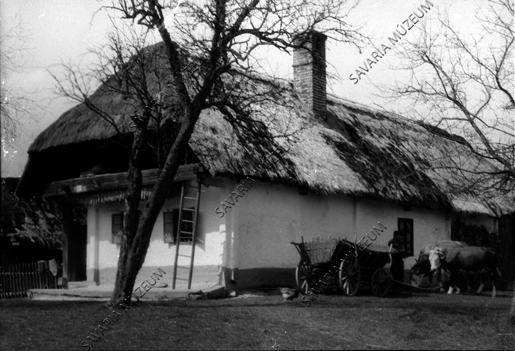 Kerített ház részlete és tehenesszekér (Savaria Megyei Hatókörű Városi Múzeum, Szombathely CC BY-NC-SA)