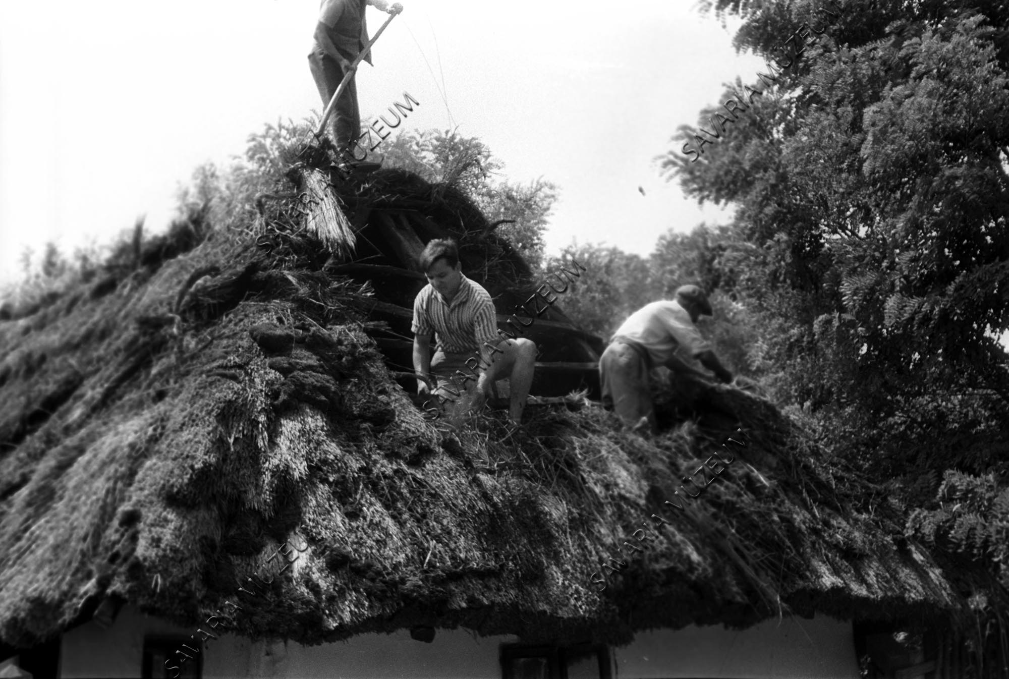 Házoromzat bontás közben (Savaria Megyei Hatókörű Városi Múzeum, Szombathely CC BY-NC-SA)