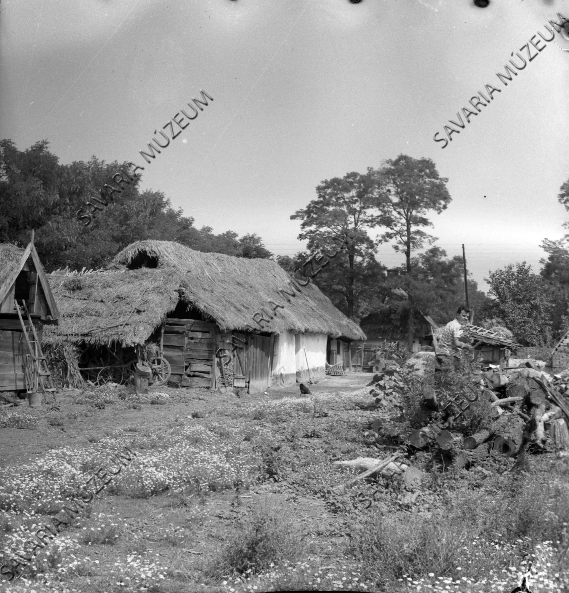 Ház és ól (Savaria Megyei Hatókörű Városi Múzeum, Szombathely CC BY-NC-SA)