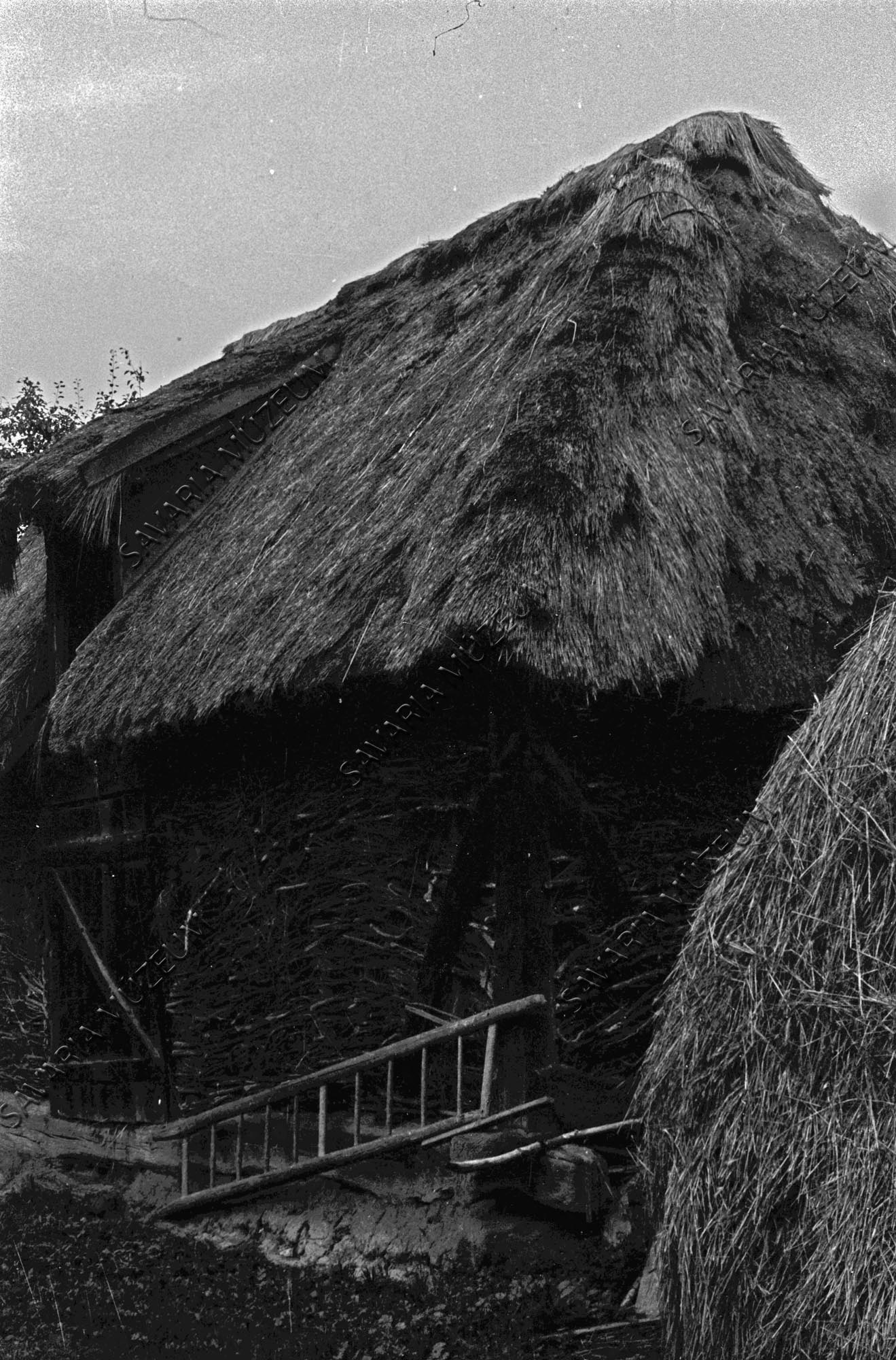 Pajtarészlet és létra (Savaria Megyei Hatókörű Városi Múzeum, Szombathely CC BY-NC-SA)