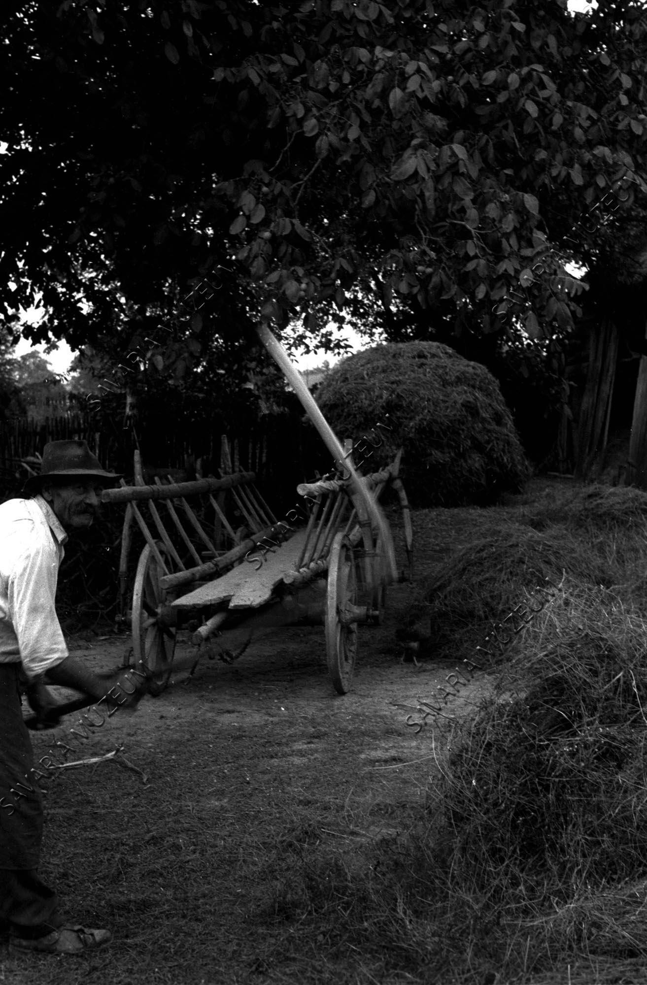 Férfi cséplés közben és hosszúszekér (Savaria Megyei Hatókörű Városi Múzeum, Szombathely CC BY-NC-SA)