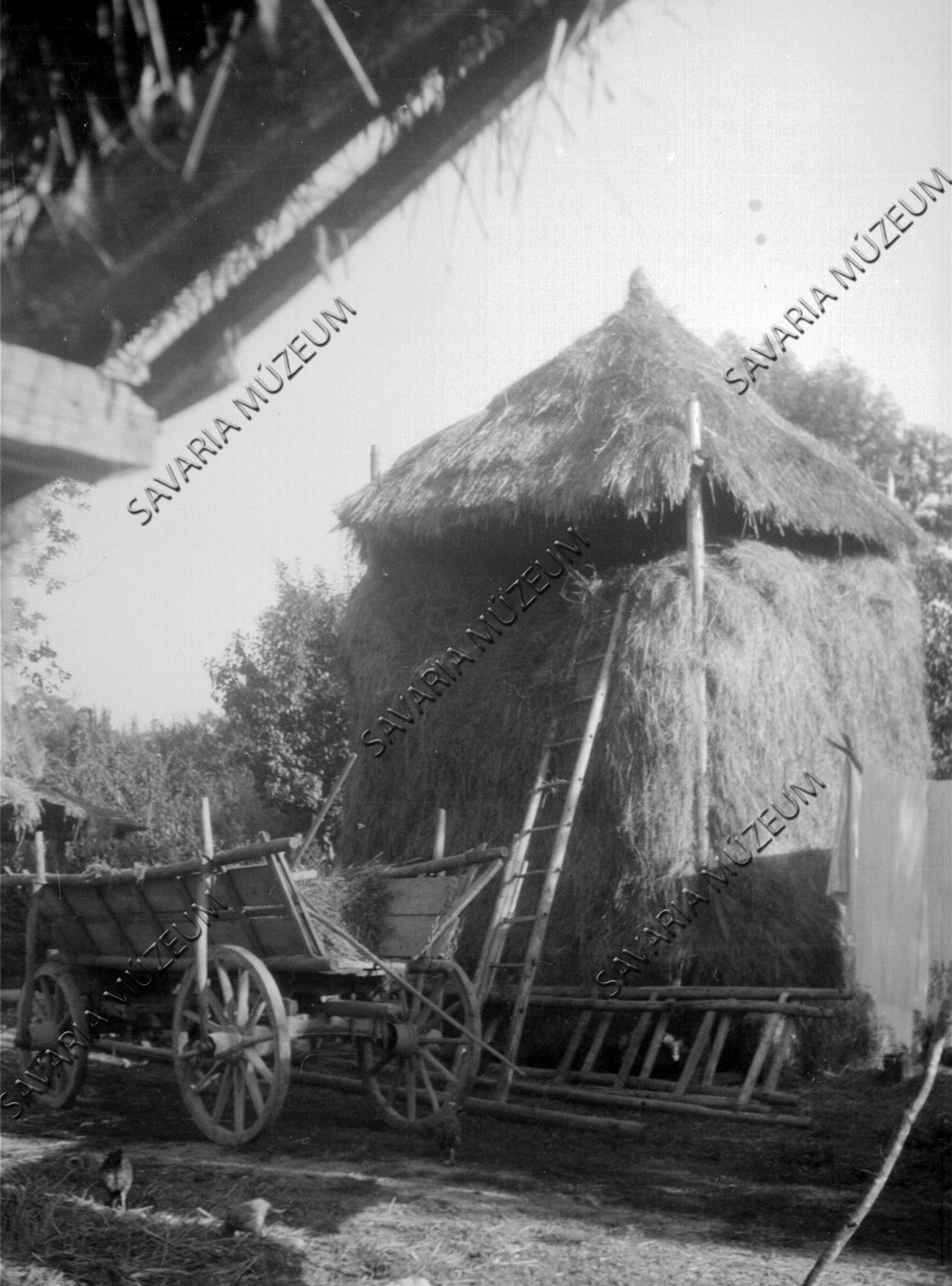 Szénatartó (abara) (Savaria Megyei Hatókörű Városi Múzeum, Szombathely CC BY-NC-SA)