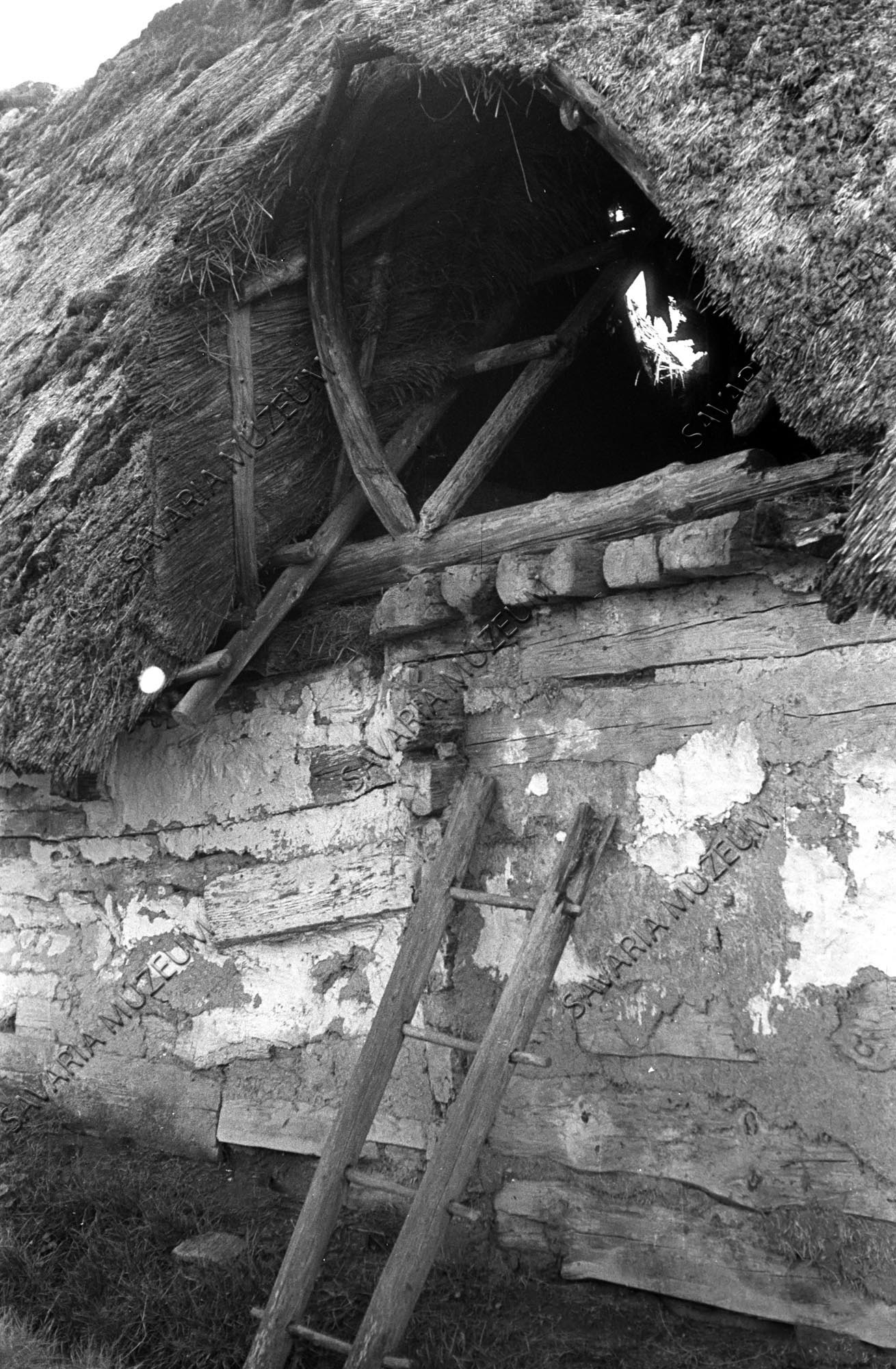 padlásfeljáró (Savaria Megyei Hatókörű Városi Múzeum, Szombathely CC BY-NC-SA)
