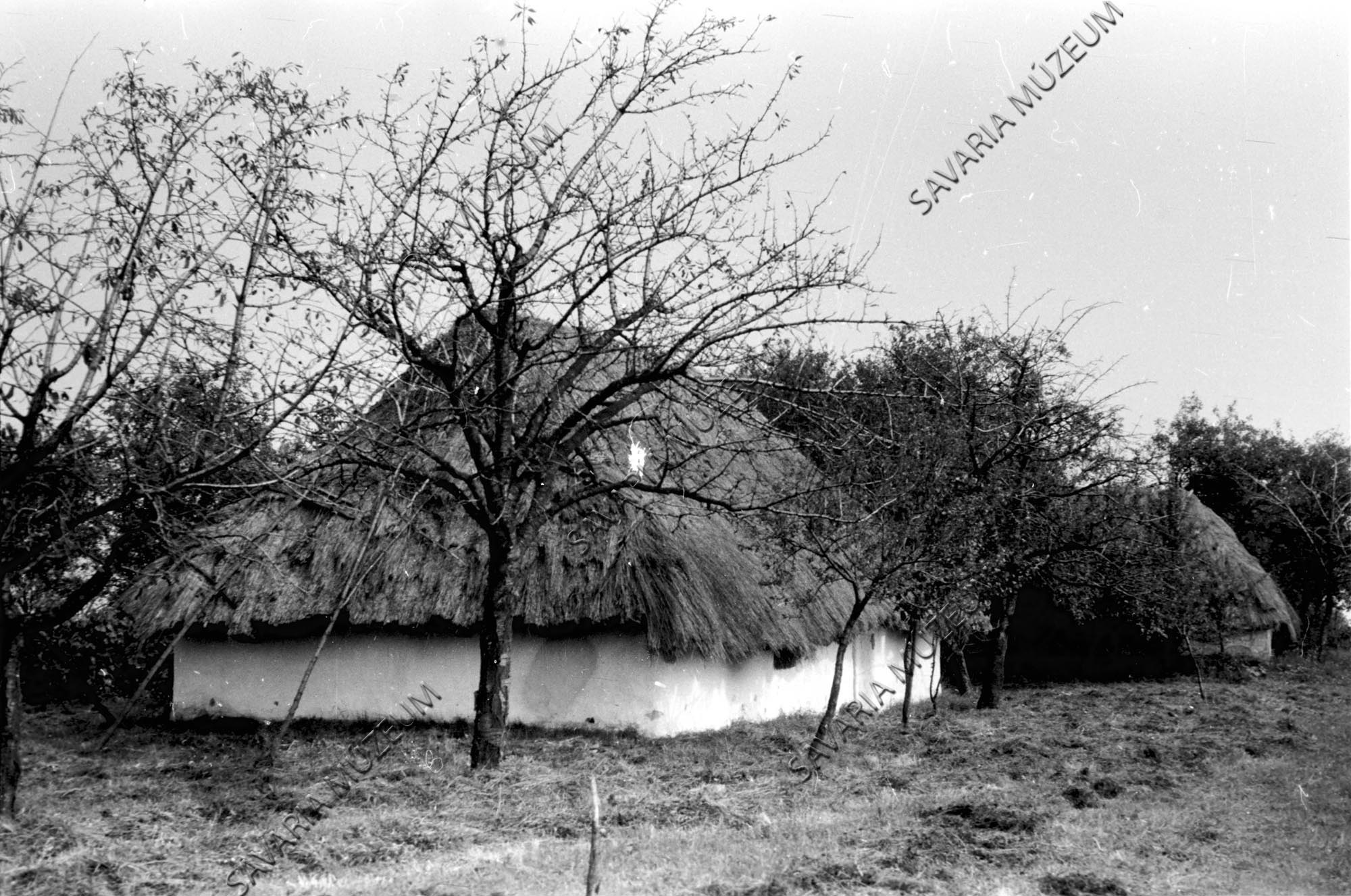 Pincék (Savaria Megyei Hatókörű Városi Múzeum, Szombathely CC BY-NC-SA)