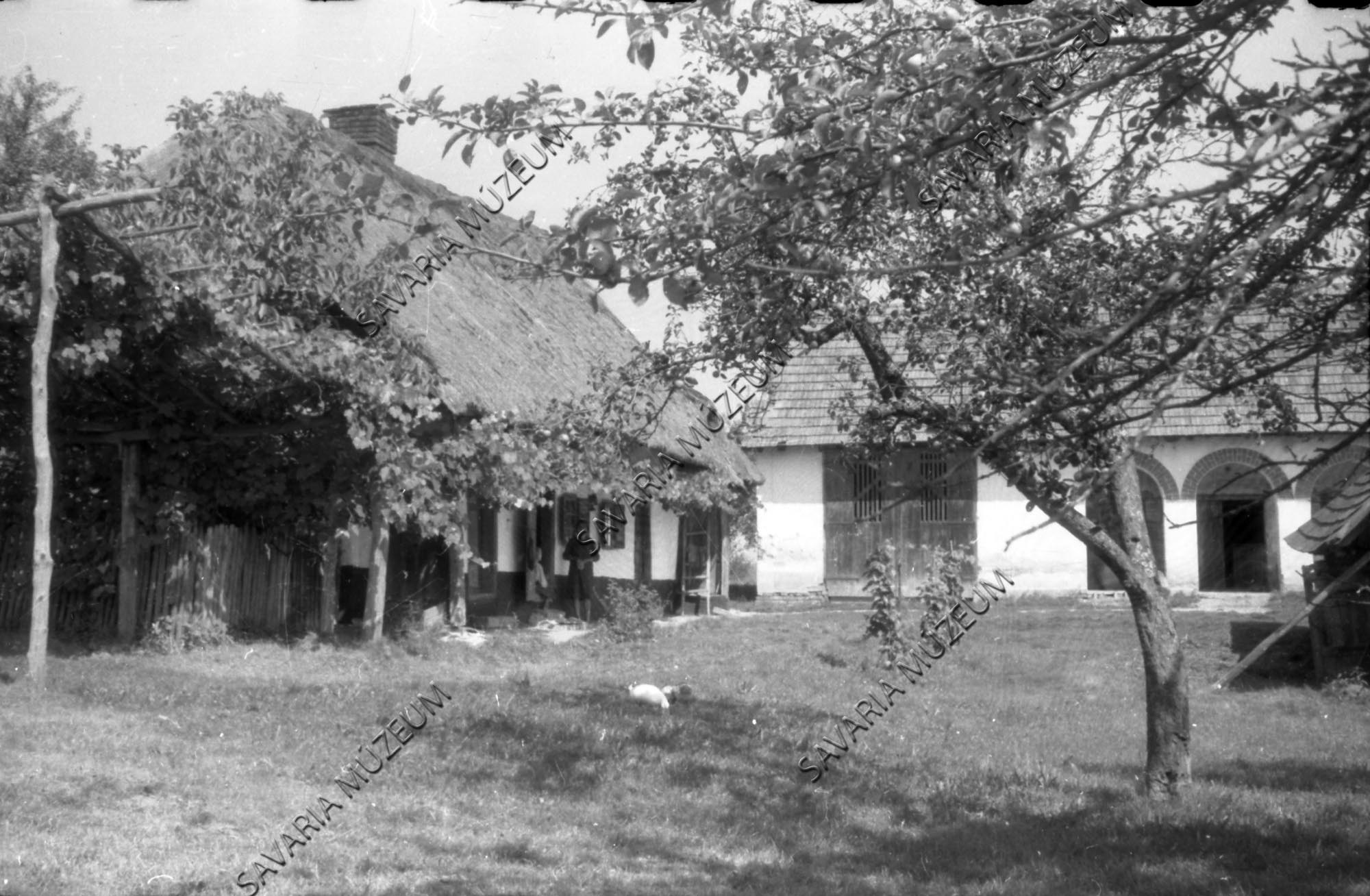 Ház és lábaspajta (Savaria Megyei Hatókörű Városi Múzeum, Szombathely CC BY-NC-SA)