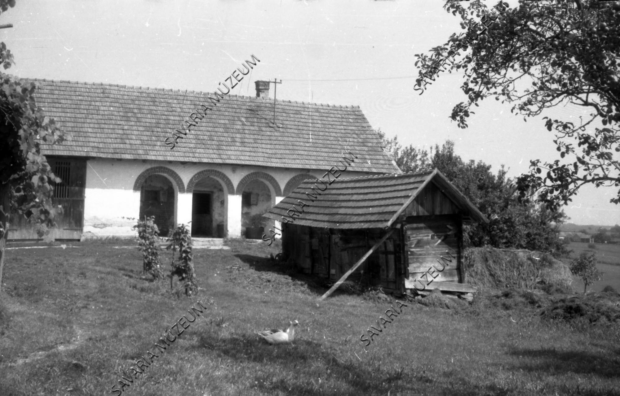 Istálló és ólak (Savaria Megyei Hatókörű Városi Múzeum, Szombathely CC BY-NC-SA)