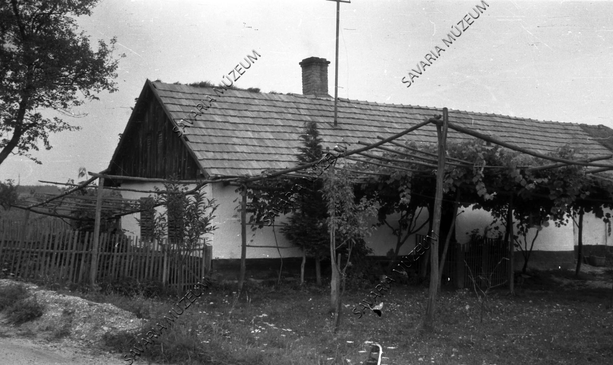 Ház szőlőlugassal (Savaria Megyei Hatókörű Városi Múzeum, Szombathely CC BY-NC-SA)