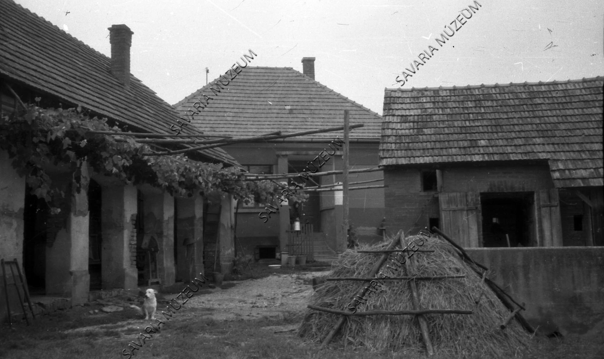 Ház, pajta, ólak (Savaria Megyei Hatókörű Városi Múzeum, Szombathely CC BY-NC-SA)