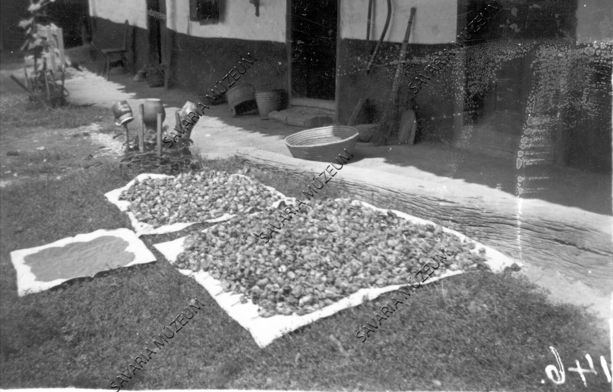 Mák szárogatás (Savaria Megyei Hatókörű Városi Múzeum, Szombathely CC BY-NC-SA)