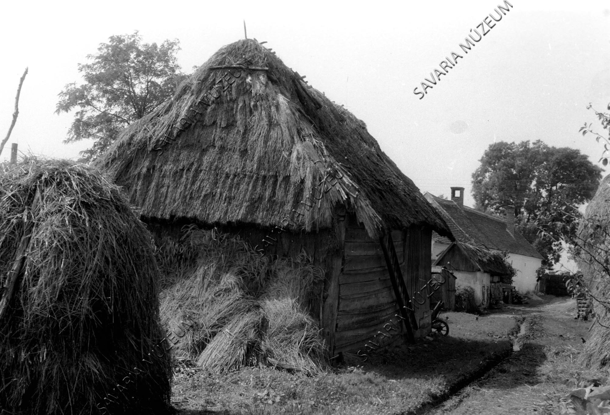 Pajta (Savaria Megyei Hatókörű Városi Múzeum, Szombathely CC BY-NC-SA)