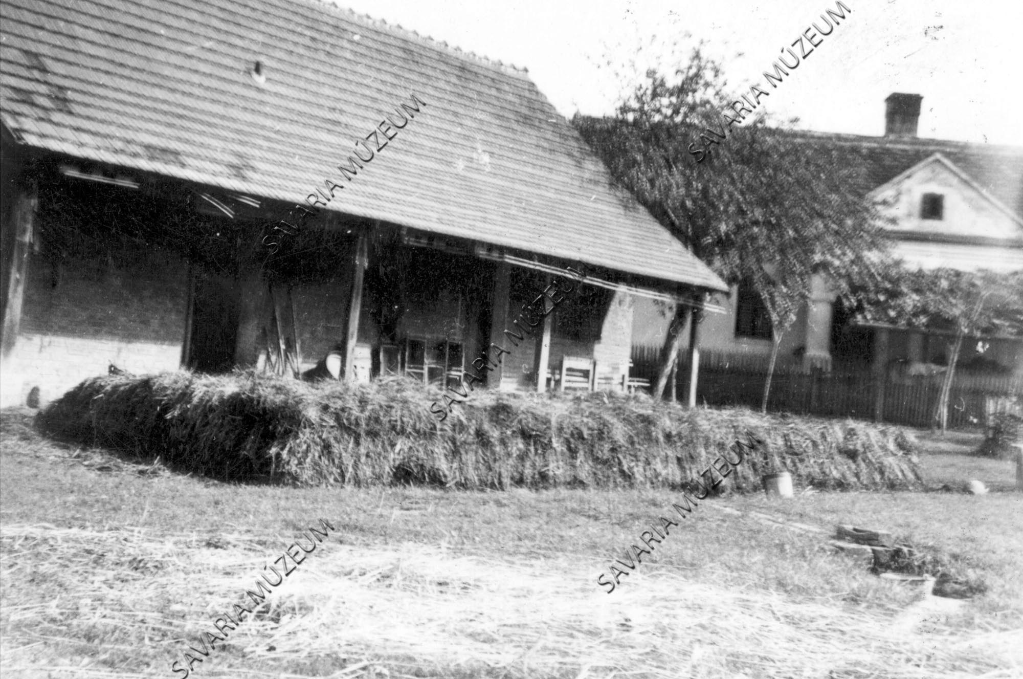 Trágyadomb (Savaria Megyei Hatókörű Városi Múzeum, Szombathely CC BY-NC-SA)