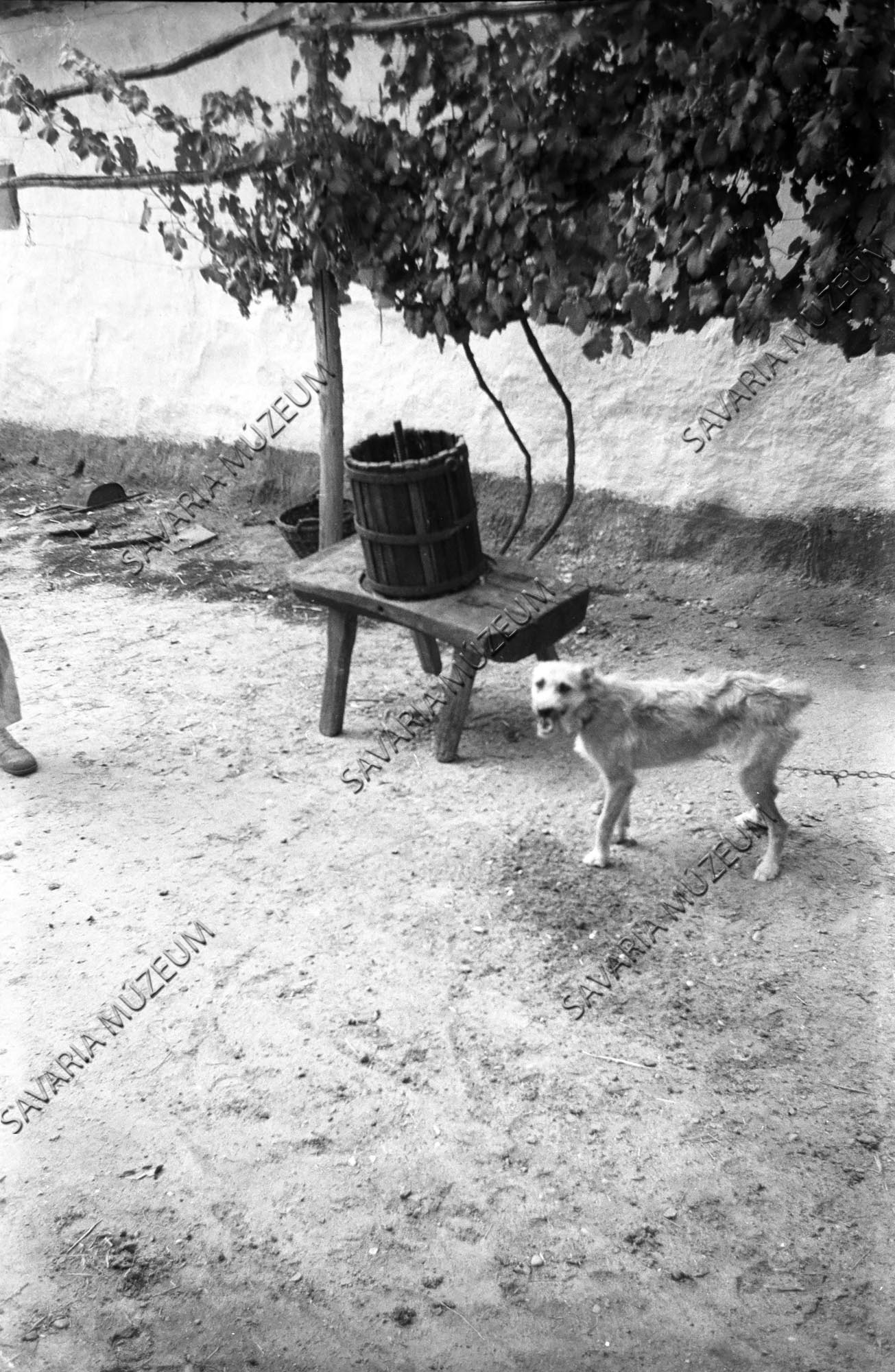 Szőlőprés (Savaria Megyei Hatókörű Városi Múzeum, Szombathely CC BY-NC-SA)