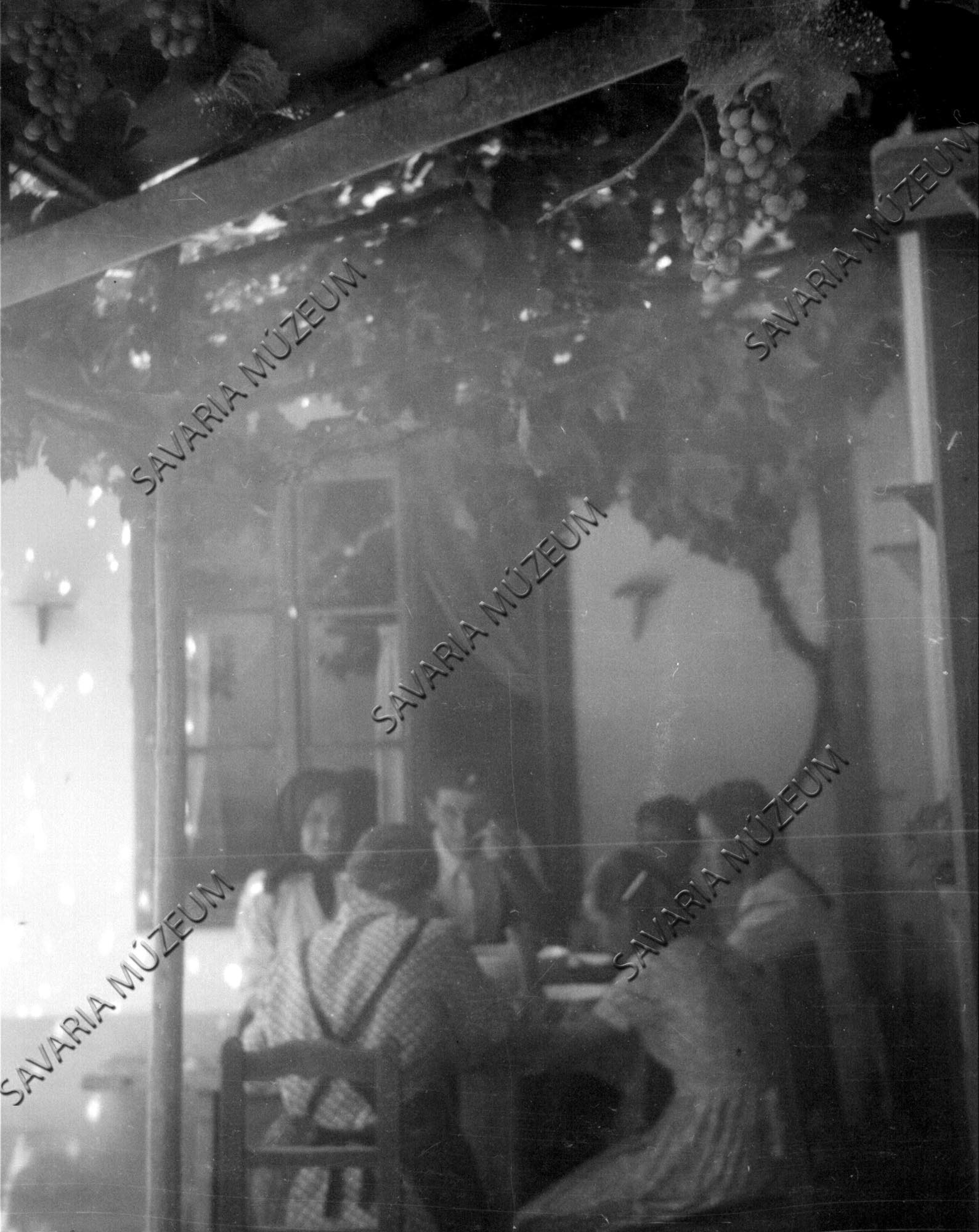 Szőlőlugas a ház bejáratánál (Savaria Megyei Hatókörű Városi Múzeum, Szombathely CC BY-NC-SA)