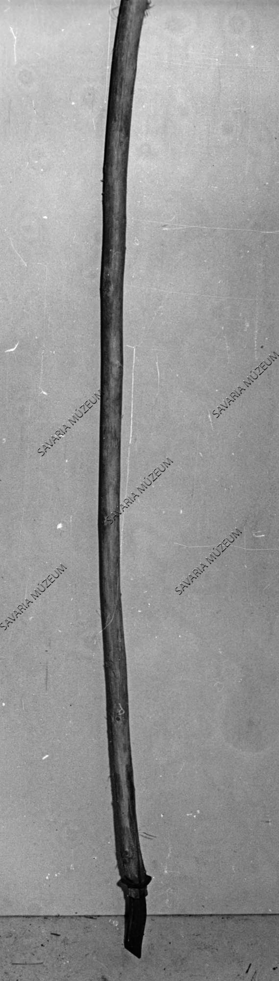 "aszottbökködő" (Savaria Megyei Hatókörű Városi Múzeum, Szombathely CC BY-NC-SA)