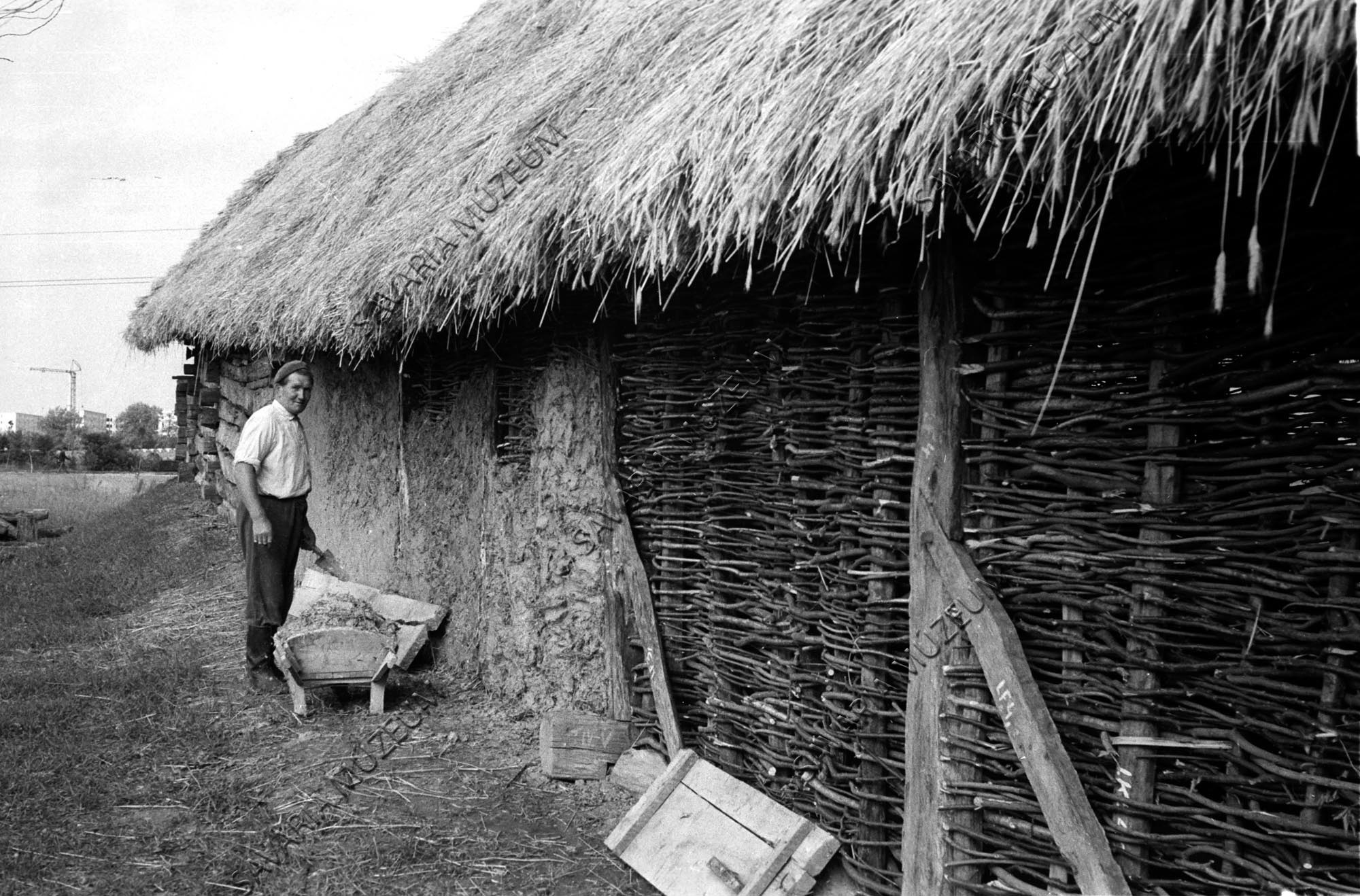 A szentpéterfai ház sövényfalának sározása (Savaria Megyei Hatókörű Városi Múzeum, Szombathely CC BY-NC-SA)