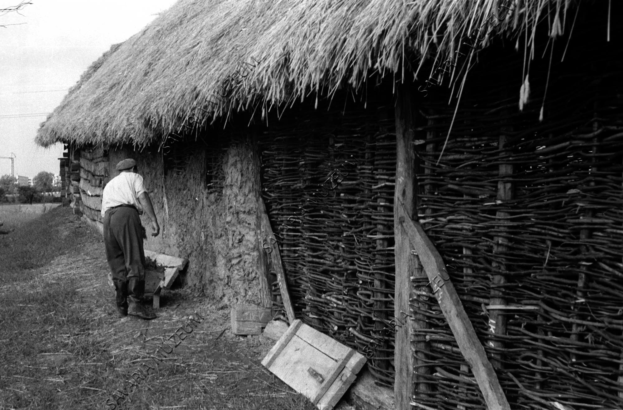 A szentpéterfai ház sövényfalának sározása (Savaria Megyei Hatókörű Városi Múzeum, Szombathely CC BY-NC-SA)