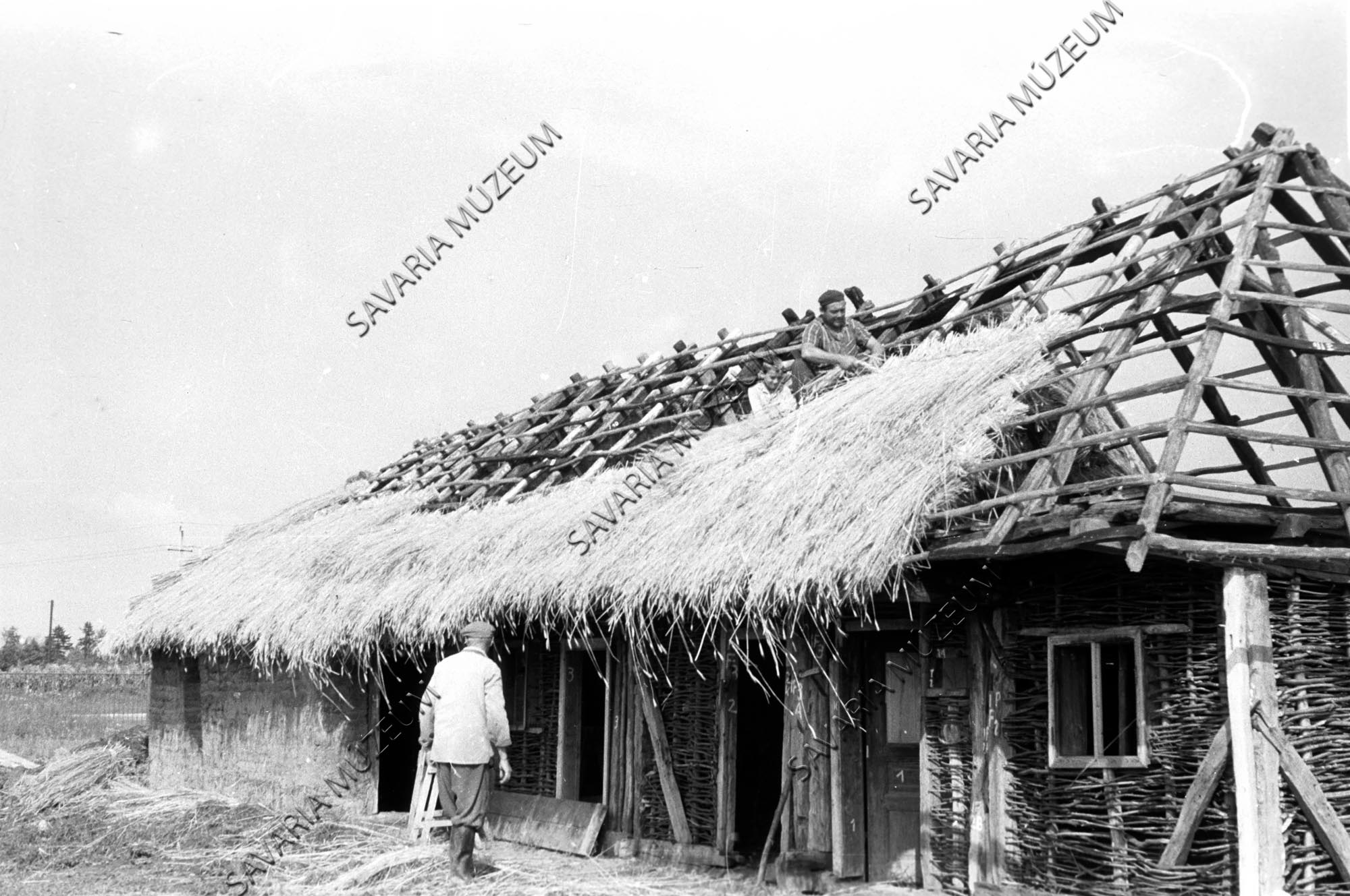 A nemeskoltai ház zsúpolása (Savaria Megyei Hatókörű Városi Múzeum, Szombathely CC BY-NC-SA)